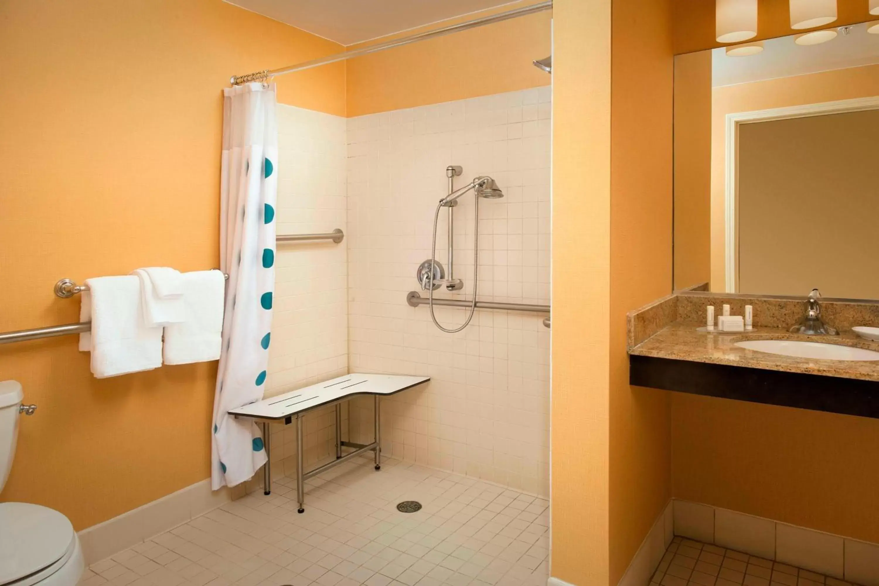 Bathroom in TownePlace Suites by Marriott Lexington Park Patuxent River Naval Air Station
