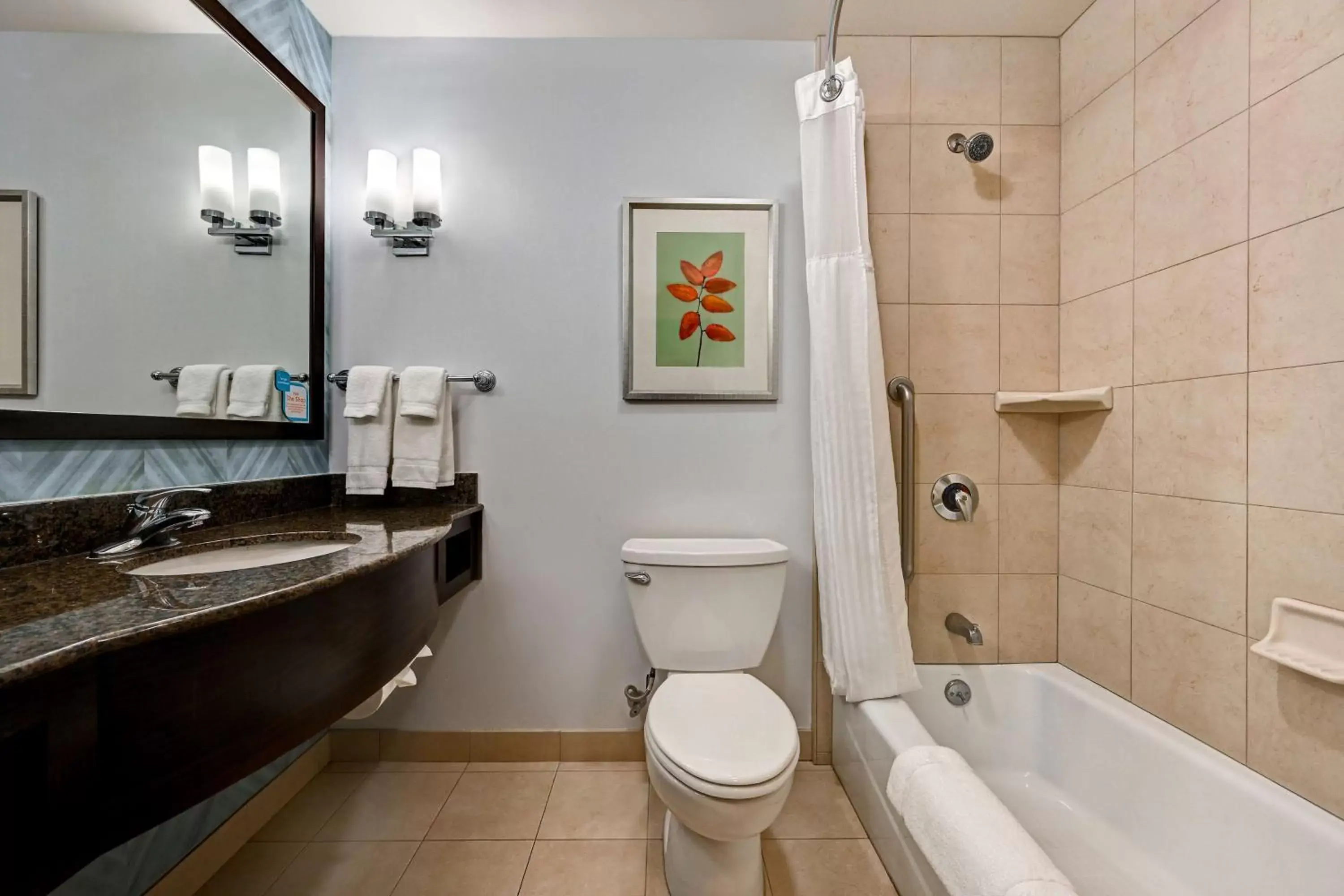 Bathroom in Hilton Garden Inn San Bernardino