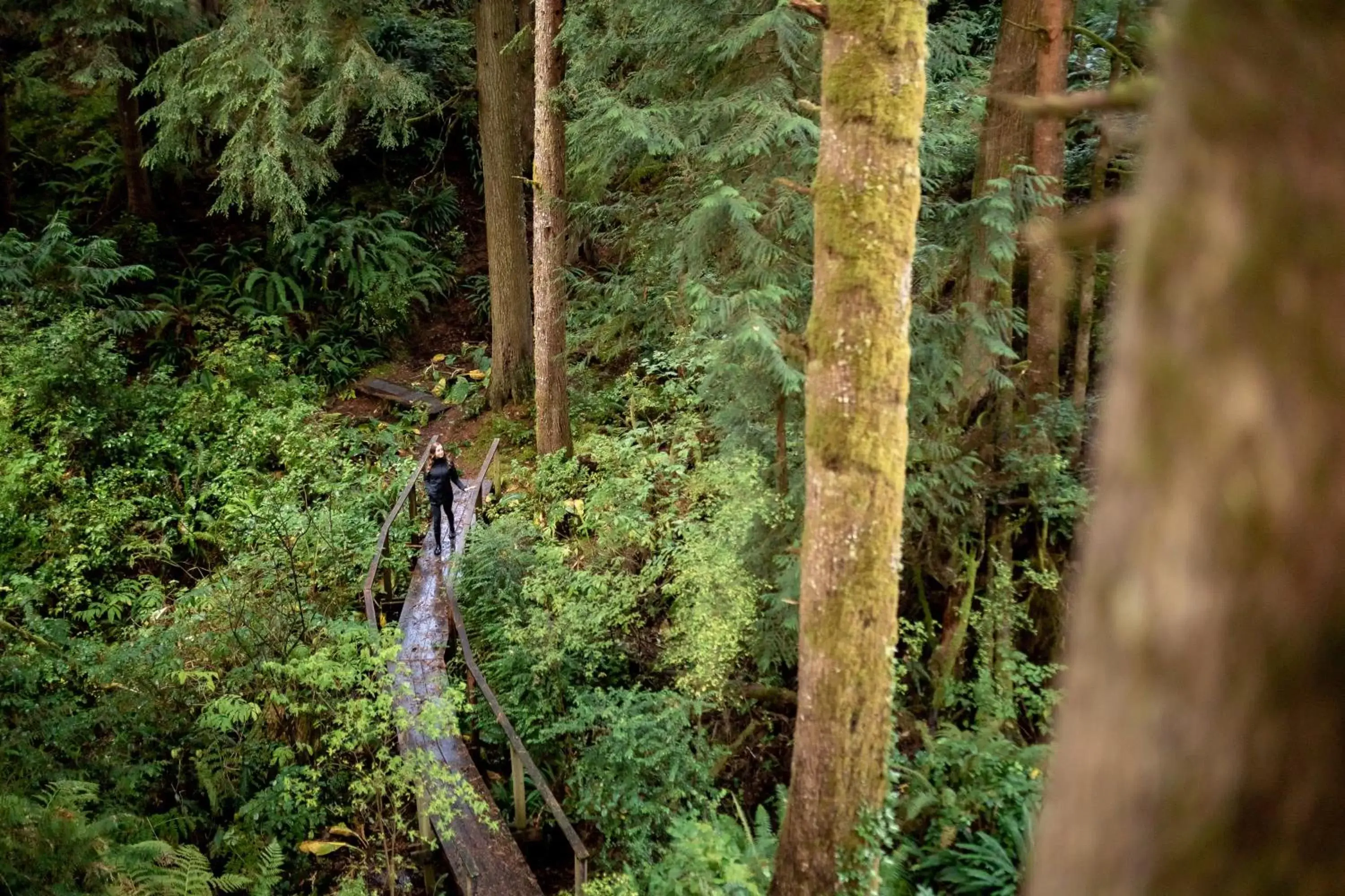 Hiking, Natural Landscape in Salishan Coastal Lodge