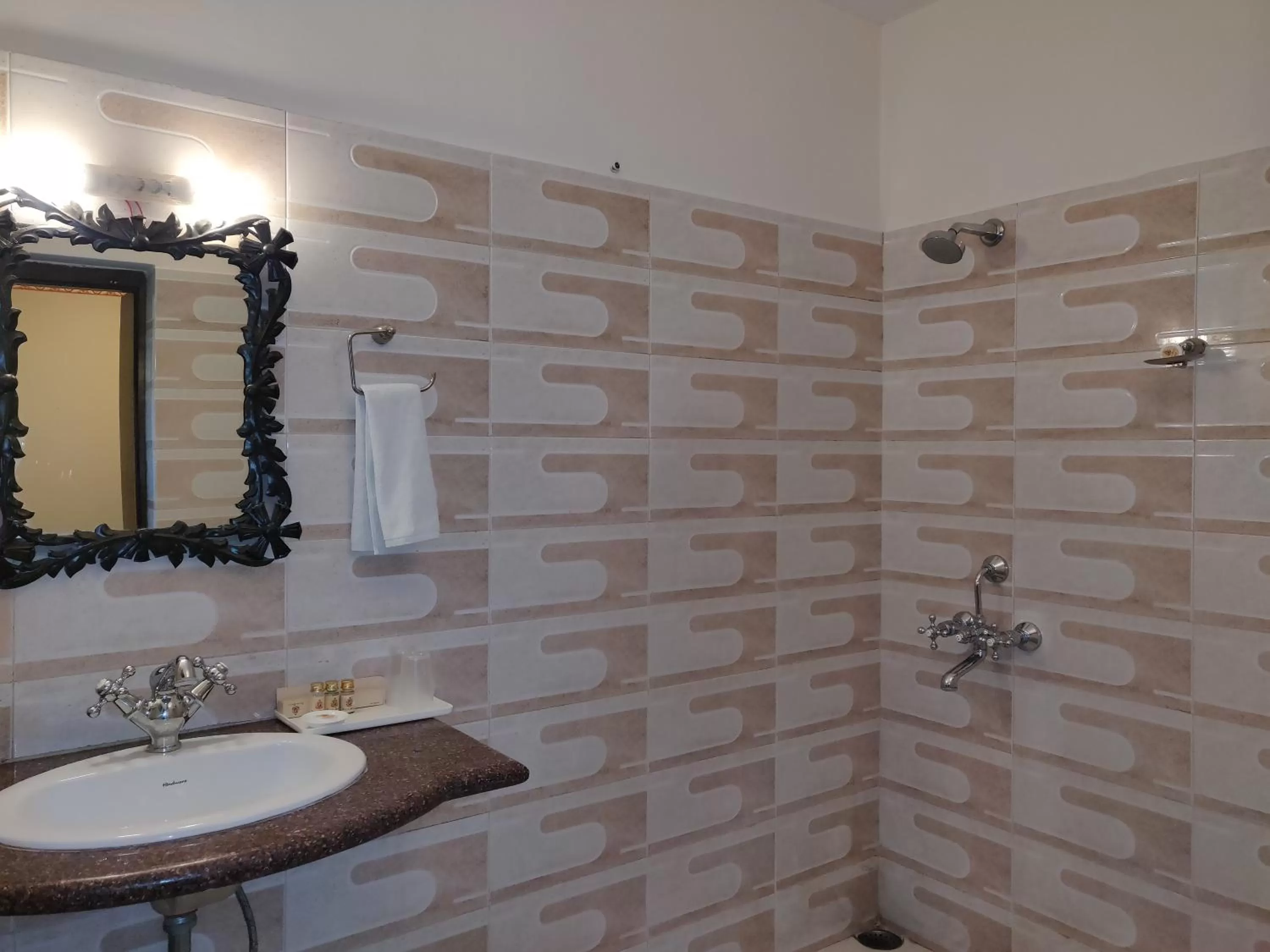 Bathroom in Laxmi Palace Heritage Boutique Hotel