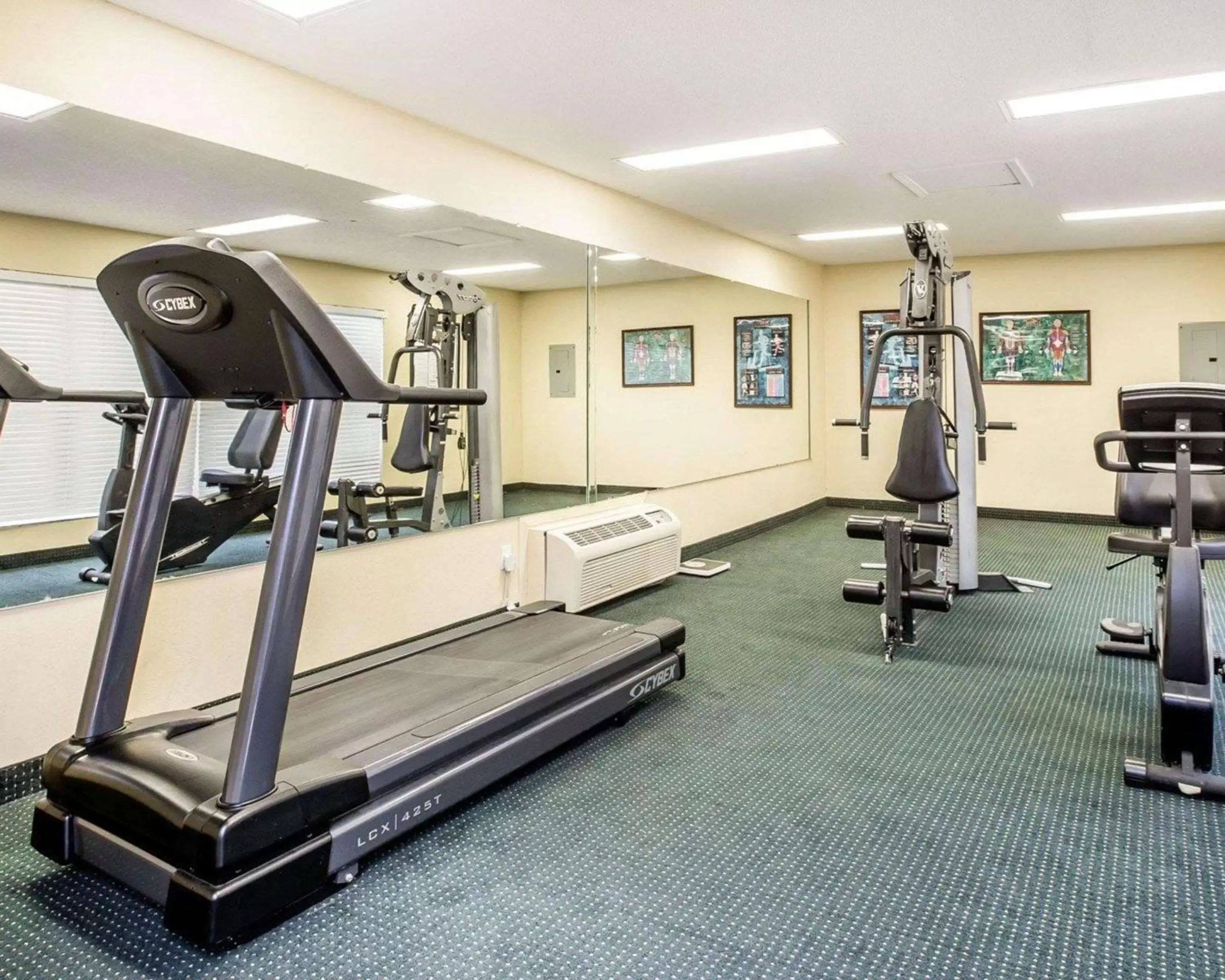 Fitness centre/facilities, Fitness Center/Facilities in Quality Inn Carrollton