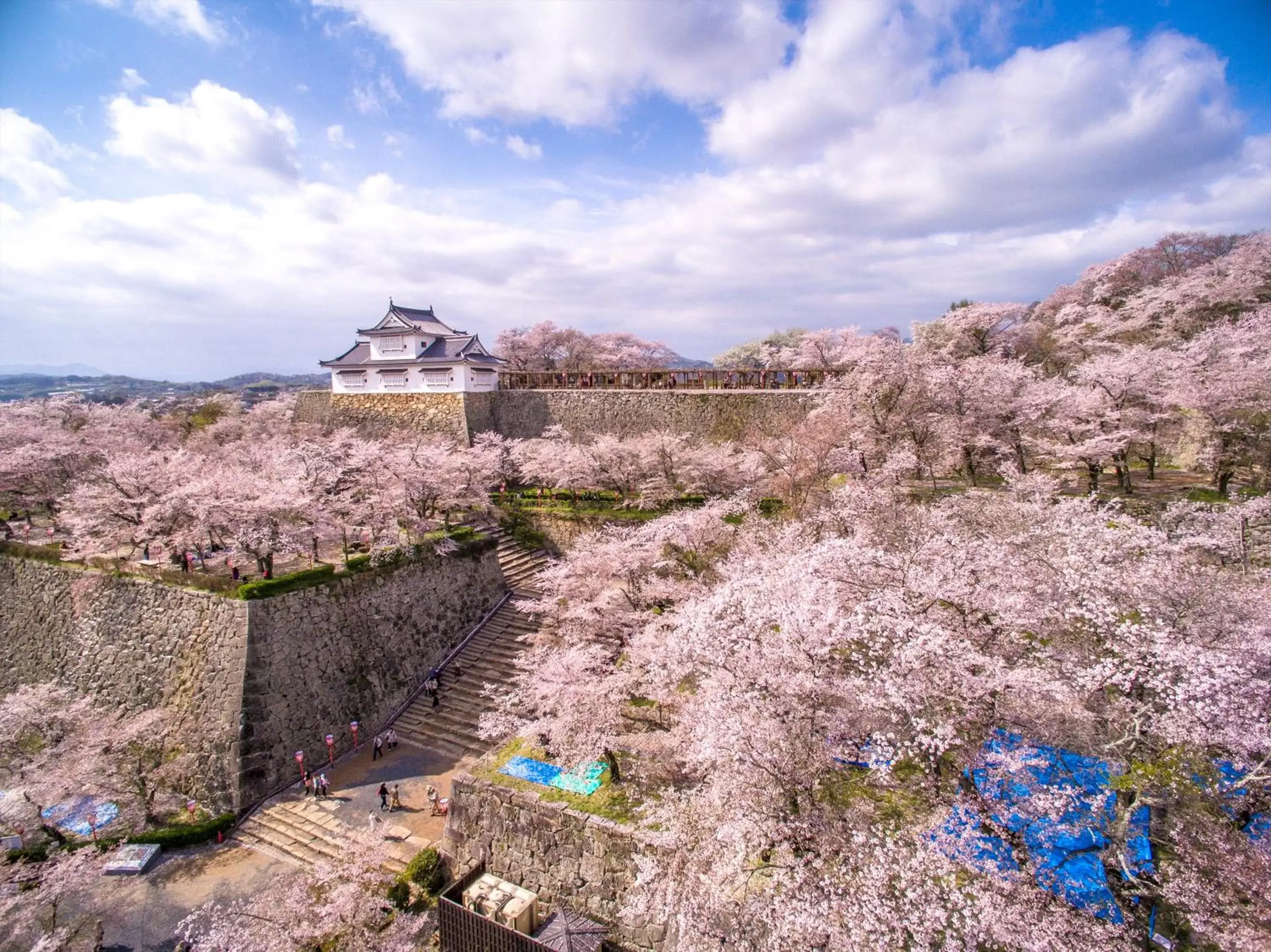 Location in Daiwa Roynet Hotel Okayama Ekimae