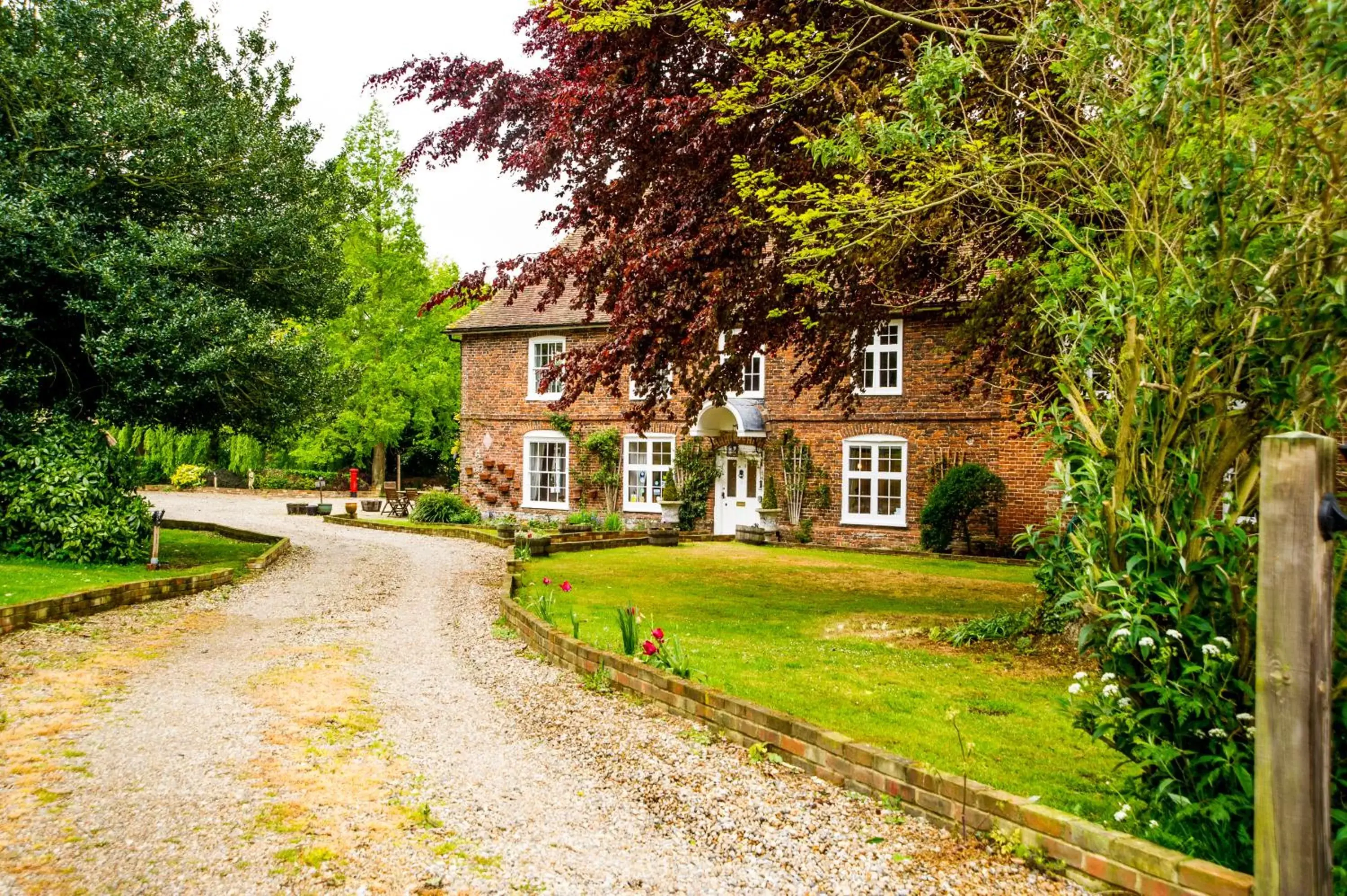 Molland Manor House Bed & Breakfast