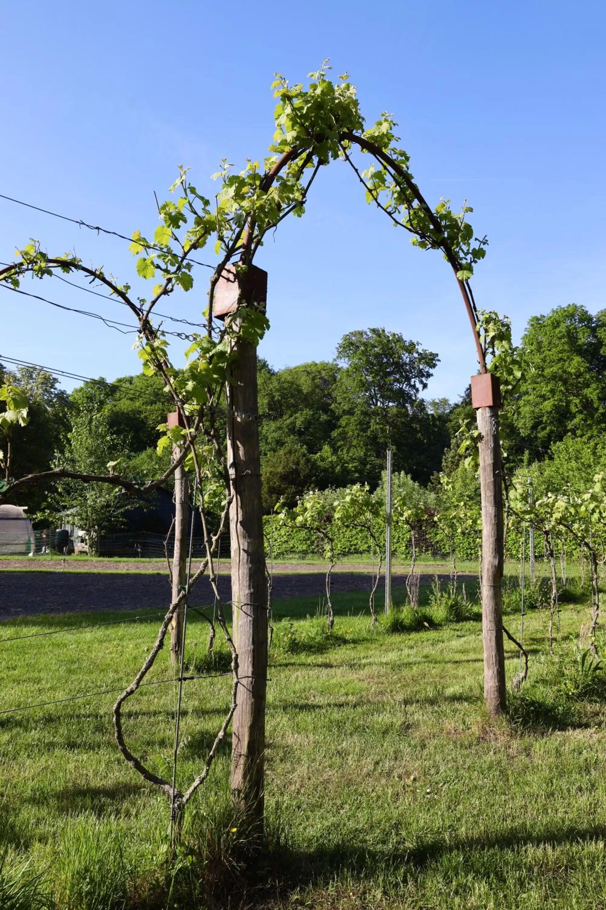 Garden in de Lochemse Berg