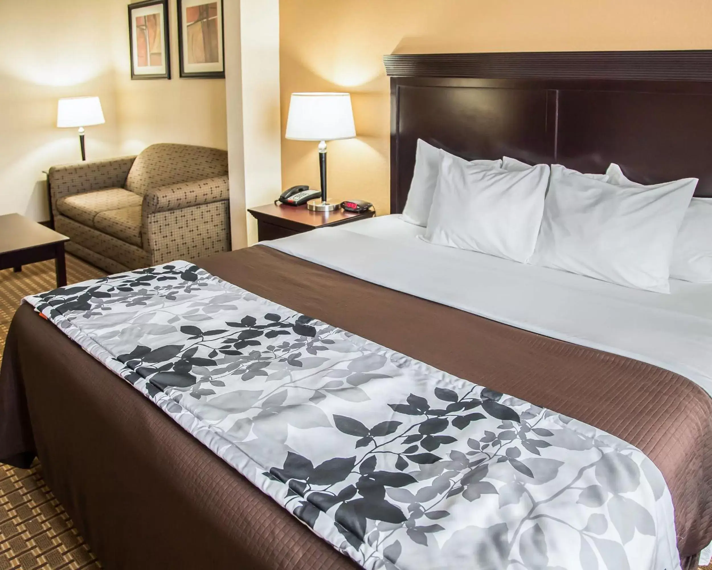 King Room - Non-Smoking in Sleep Inn & Suites University