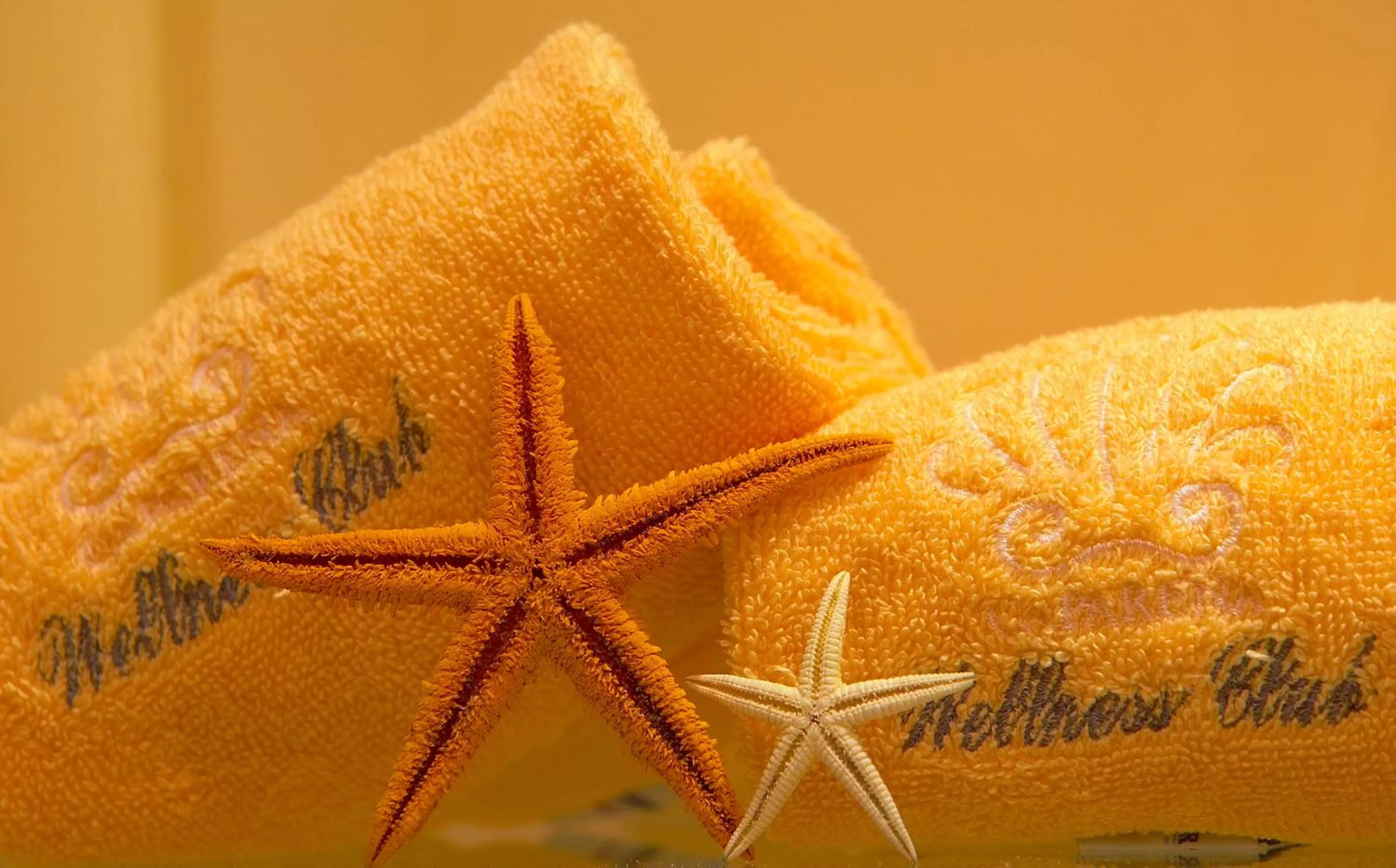 Massage in Hotel Villa Diodoro