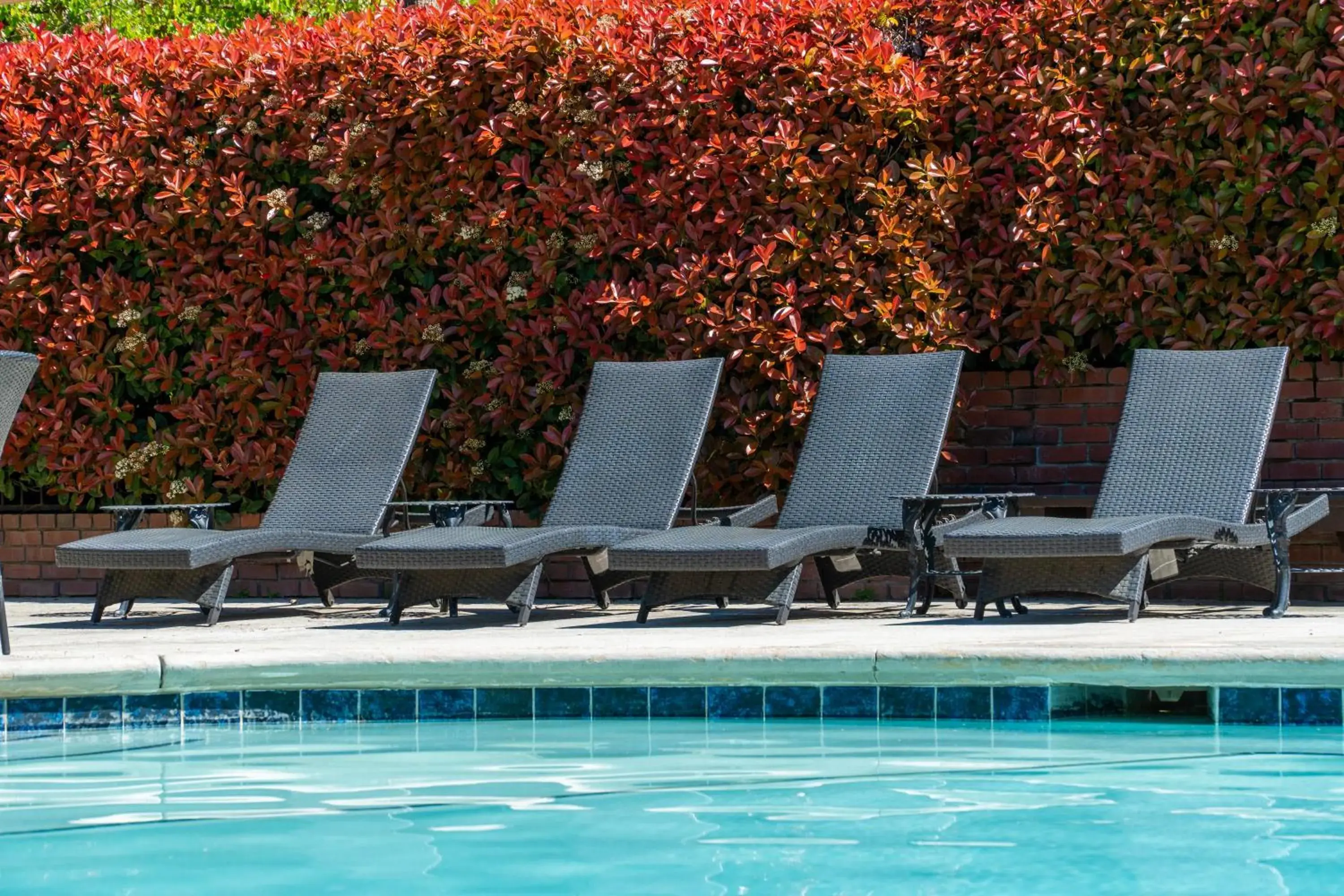 Swimming Pool in Piccadilly Inn Shaw