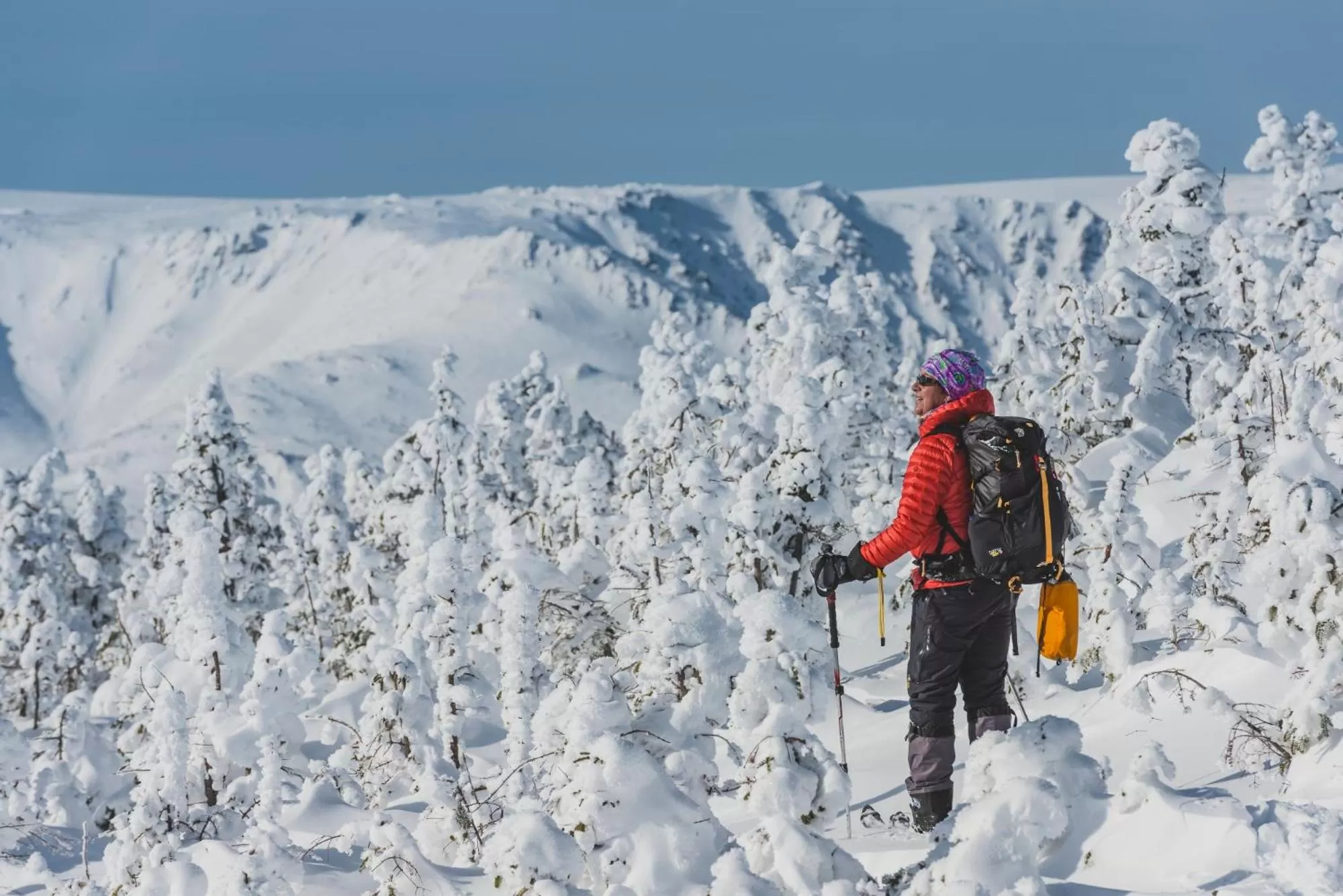 Activities in Gîte du Mont-Albert - Sepaq