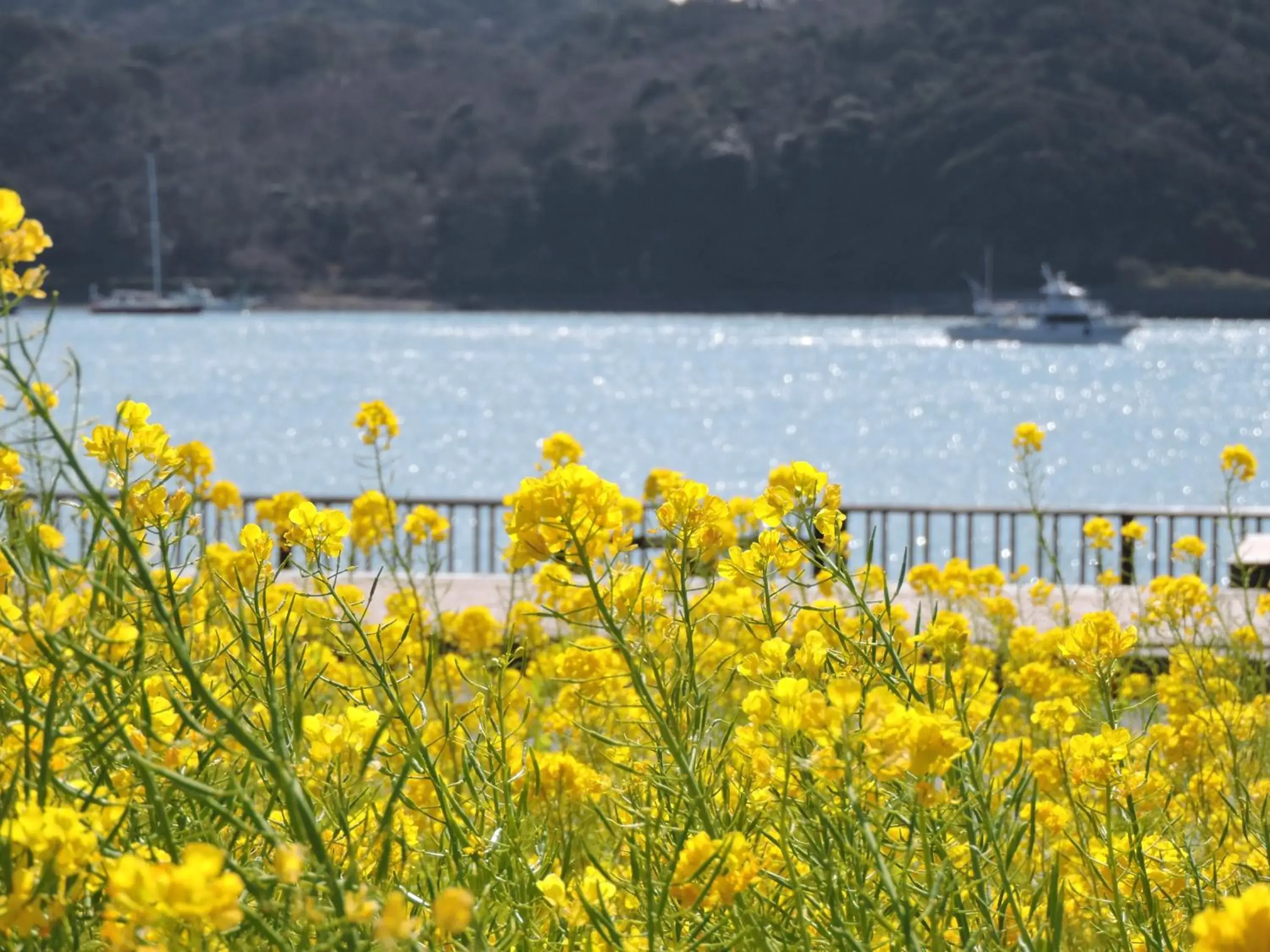 Seasons in Shimoda Prince Hotel