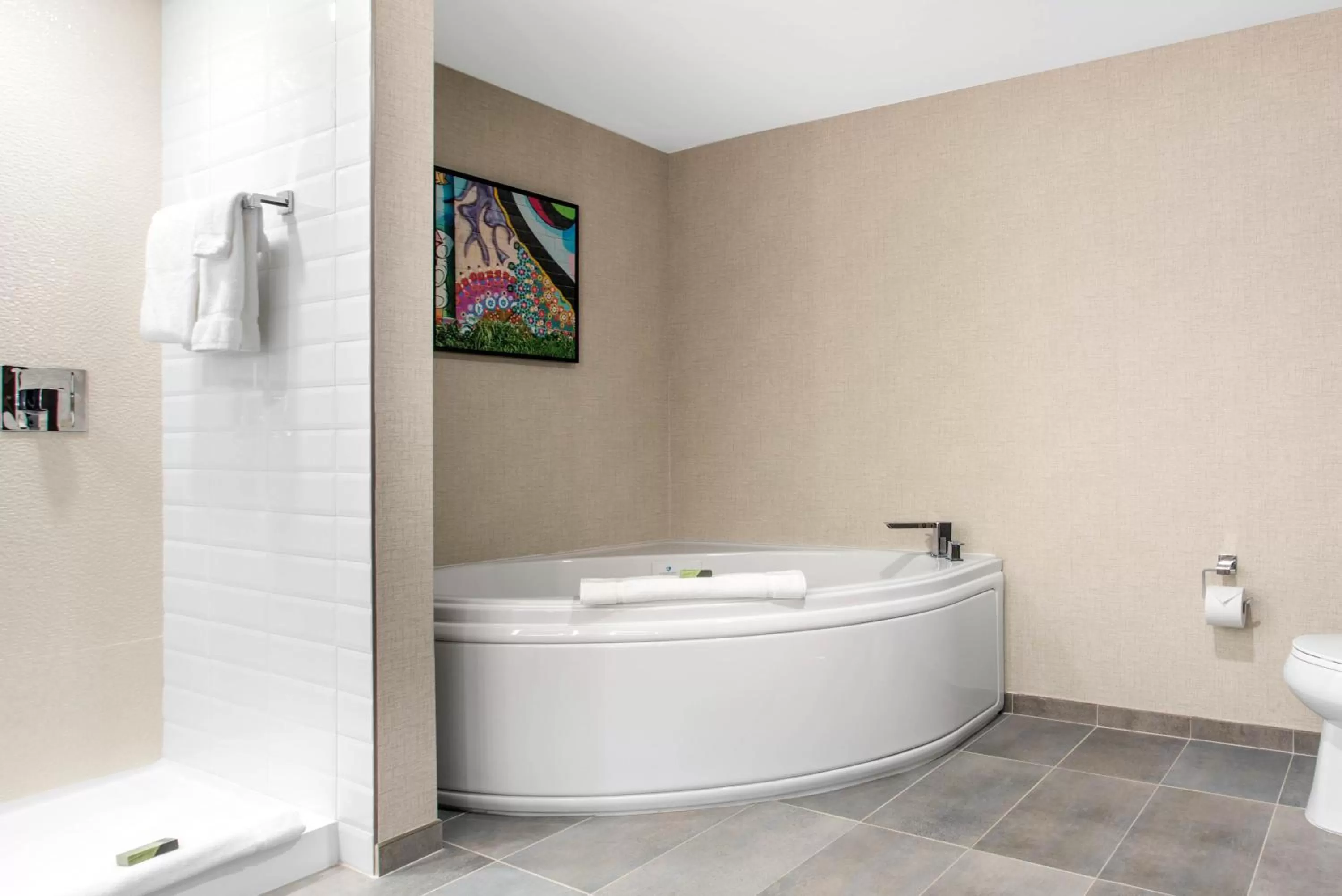 Bath in Cambria Hotel Downtown Asheville