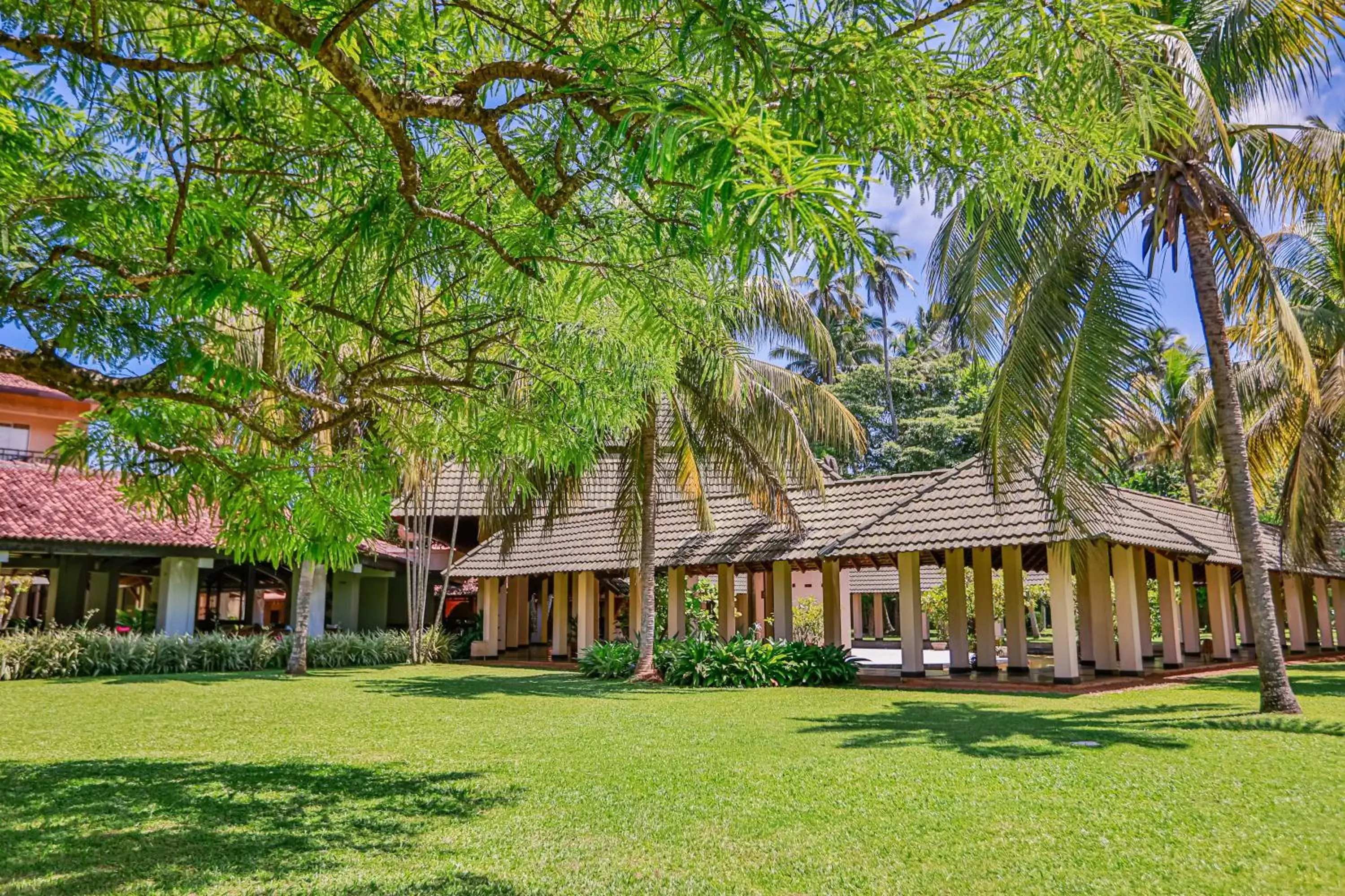 Garden, Property Building in The Palms