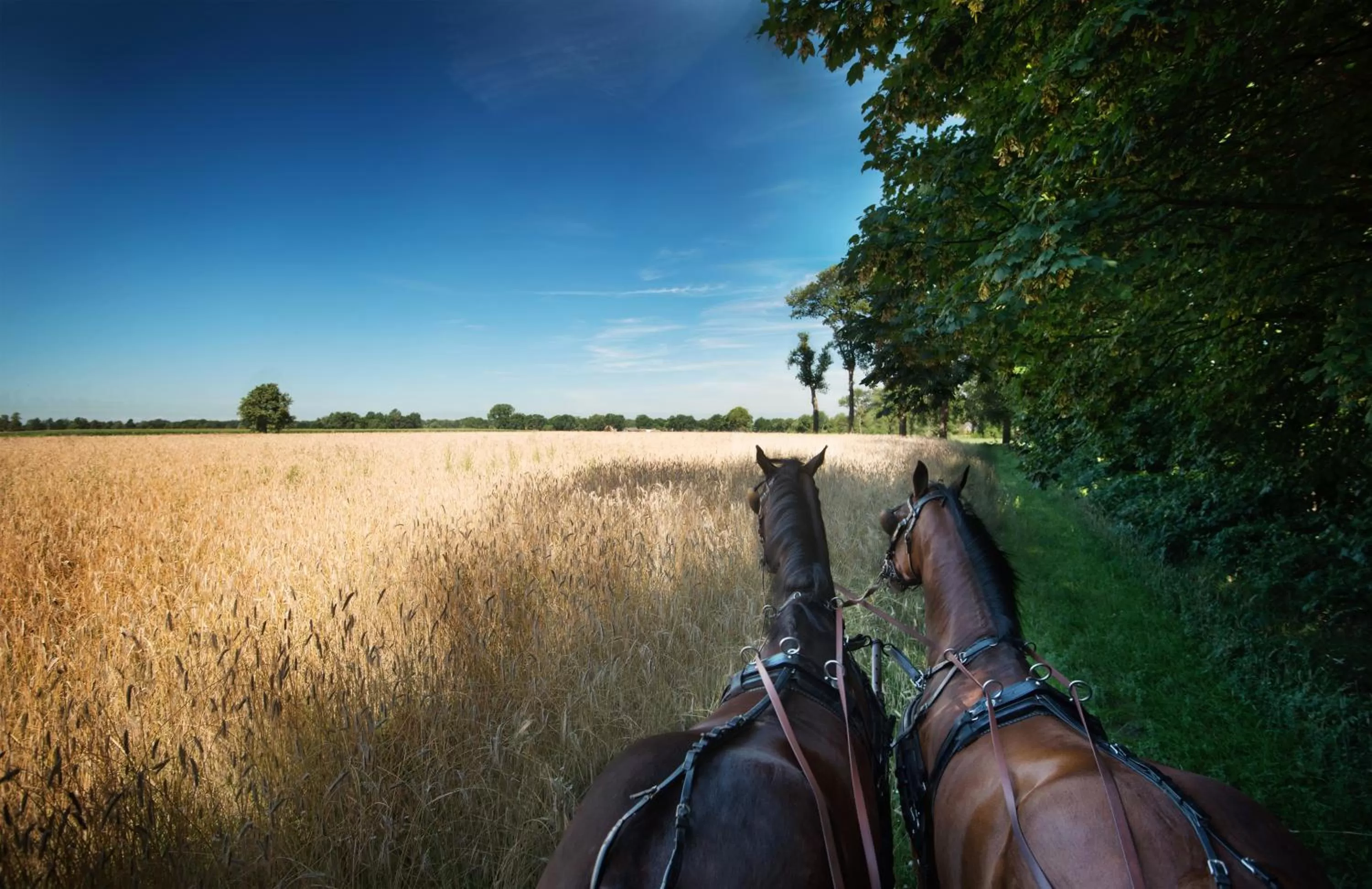 Summer in Van der Valk Theaterhotel Almelo