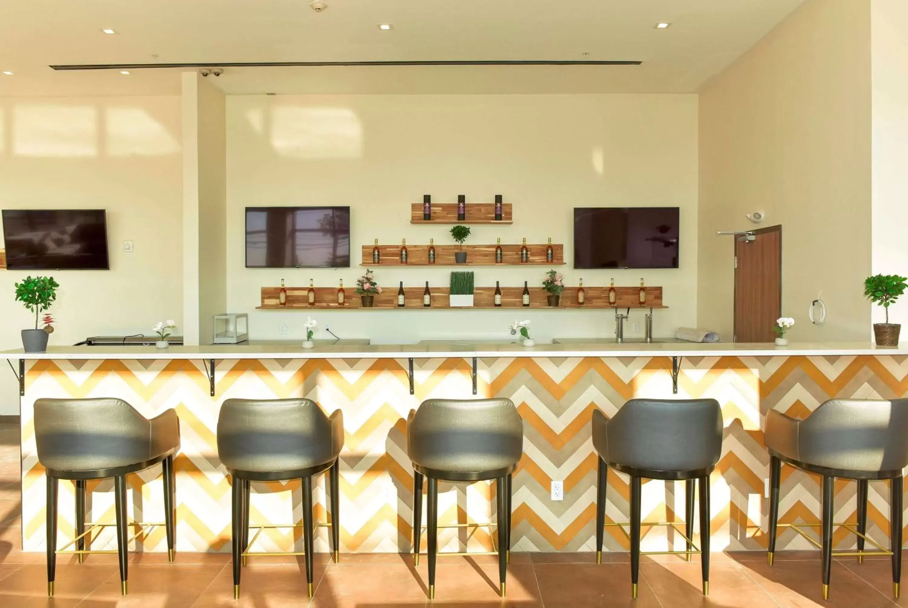 Lounge or bar in Wyndham Garden North Bergen - Secaucus Lounge or bar in Wyndham Garden North Bergen - Secaucus