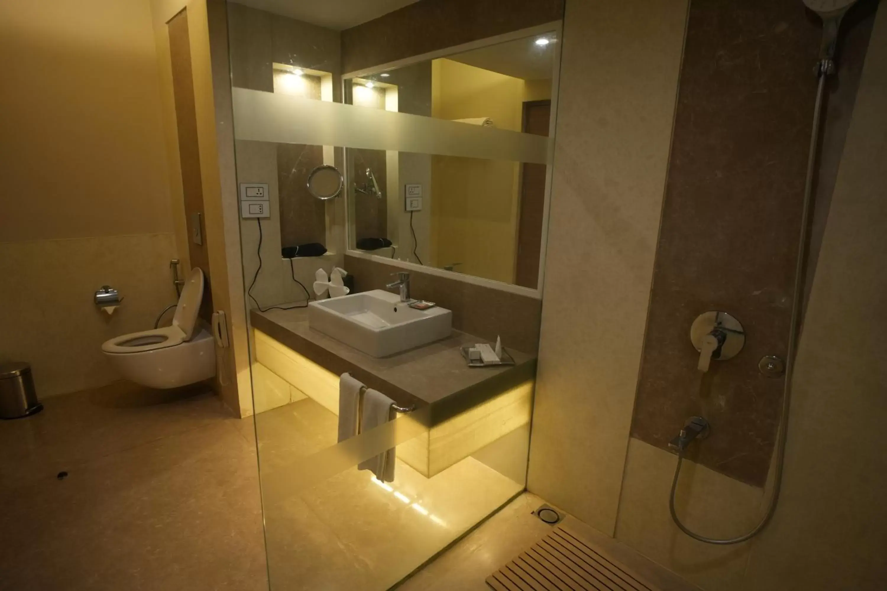 Bathroom in Radisson Udaipur