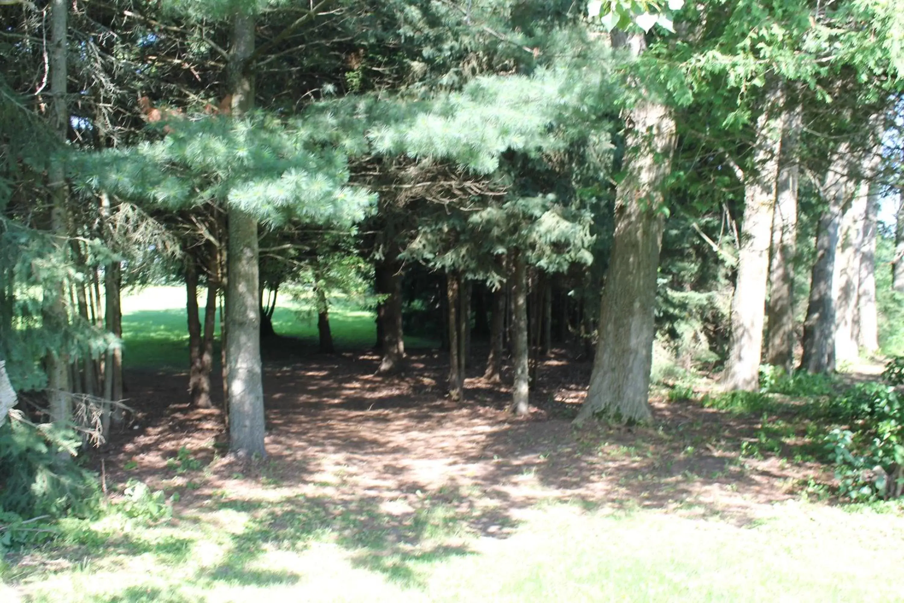 Garden in Terrace Green B&B