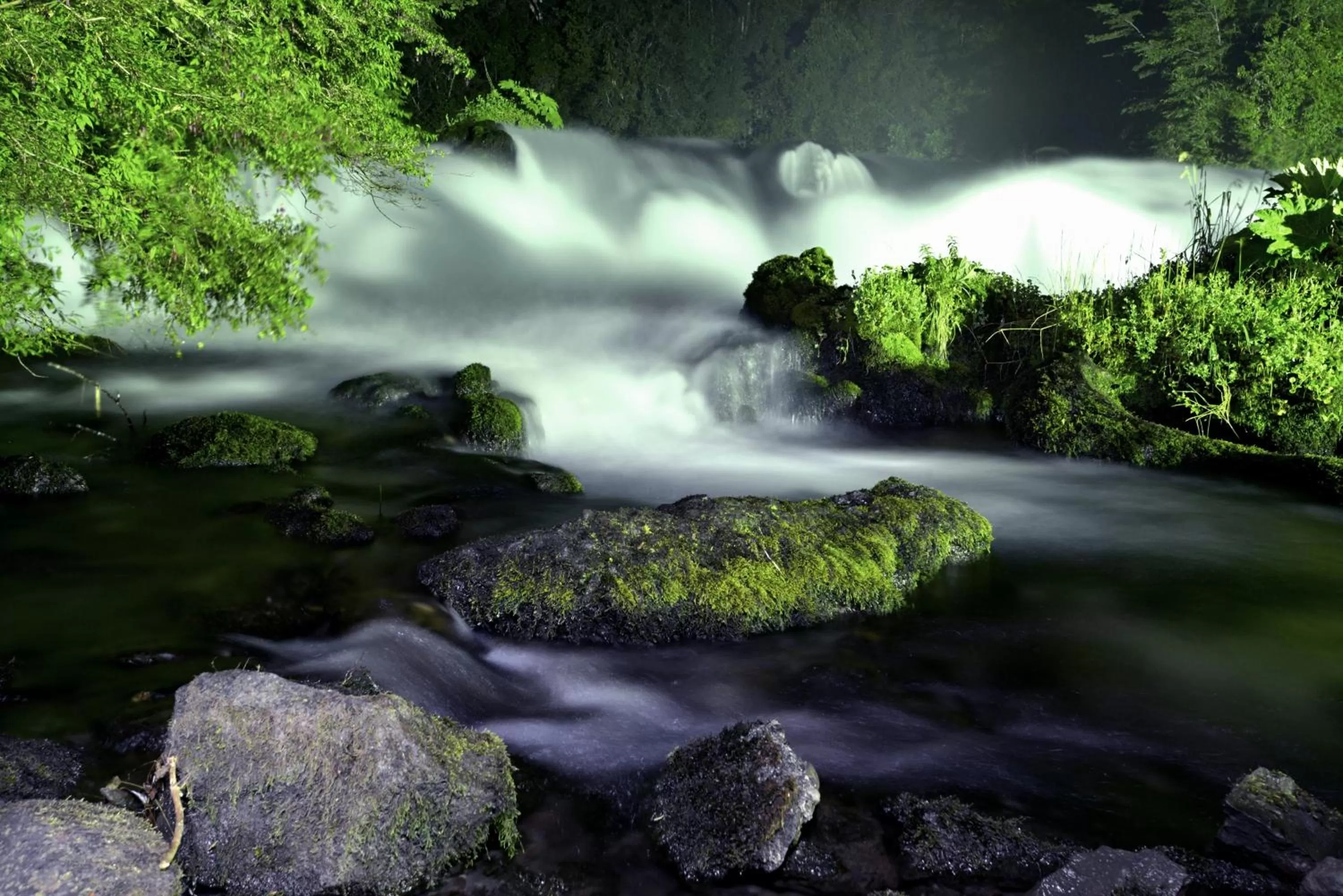Garden in Hotel Salto del Carileufu