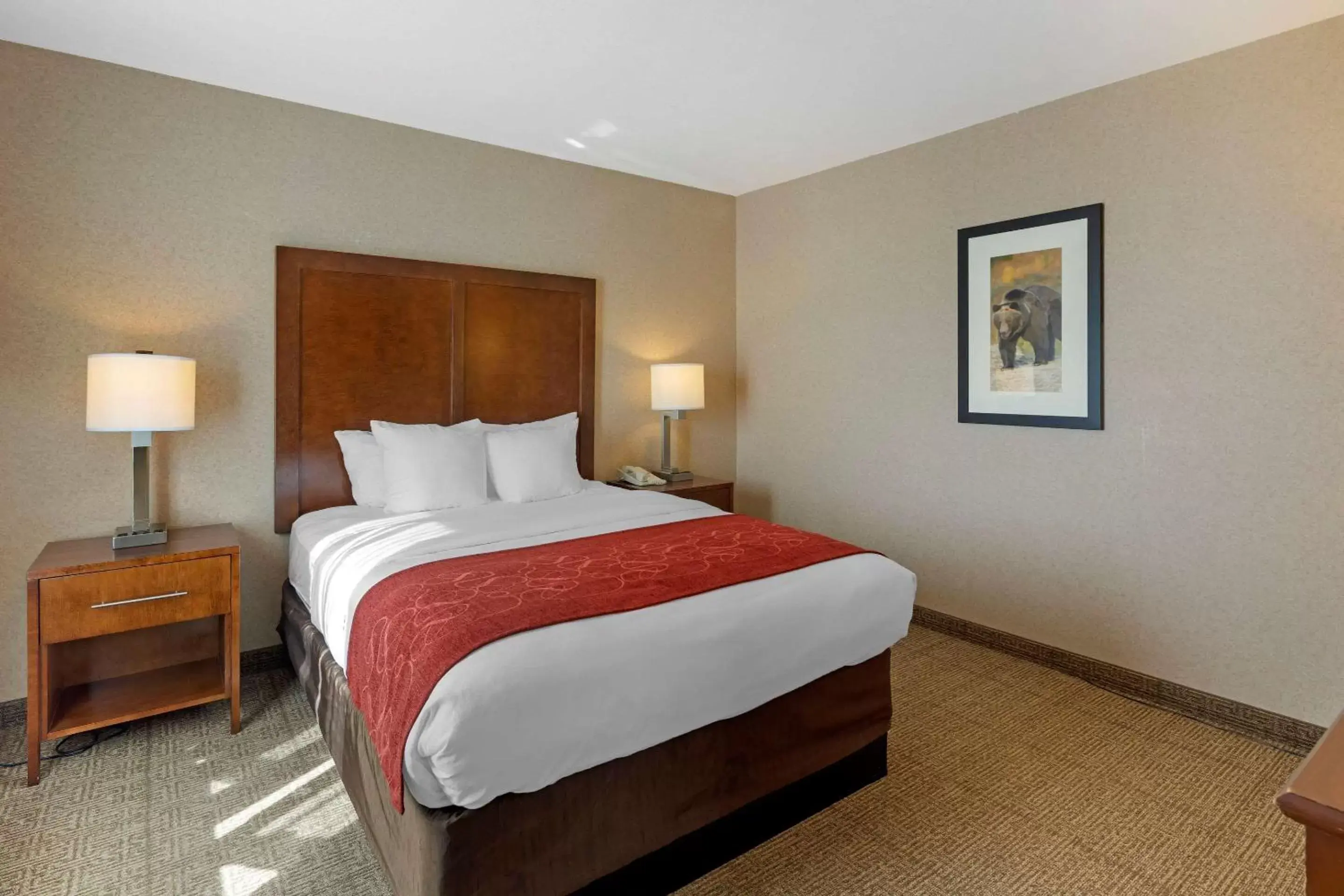 Photo of the whole room, Bed in Comfort Suites Anchorage International Airport