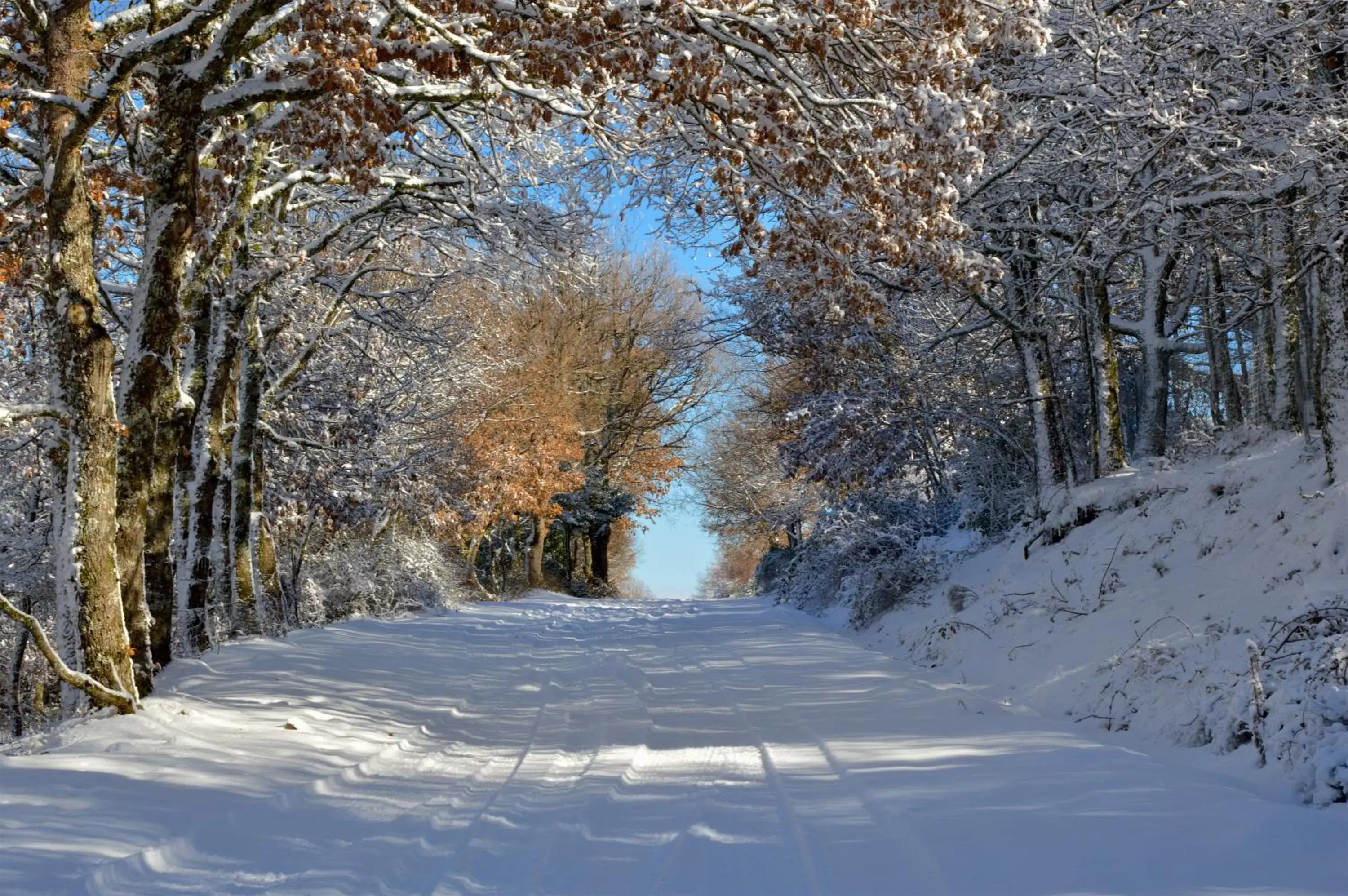 Nearby landmark, Winter in B&B La Genziana