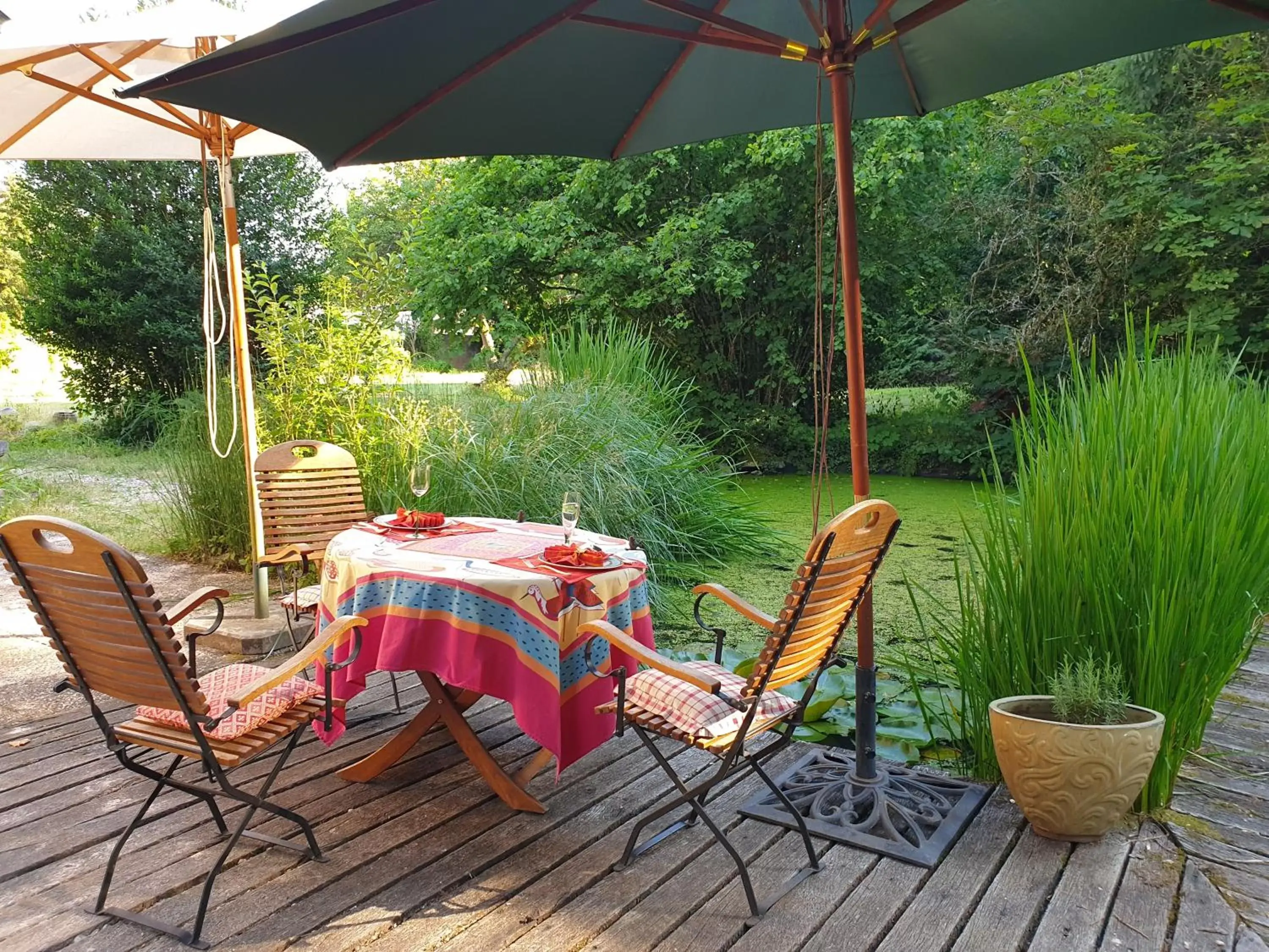 Garden in MaisonMazerand