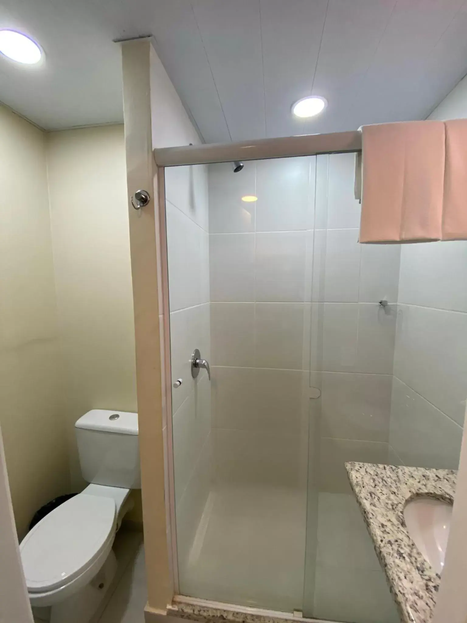 Bathroom in ibis budget Itaperuna