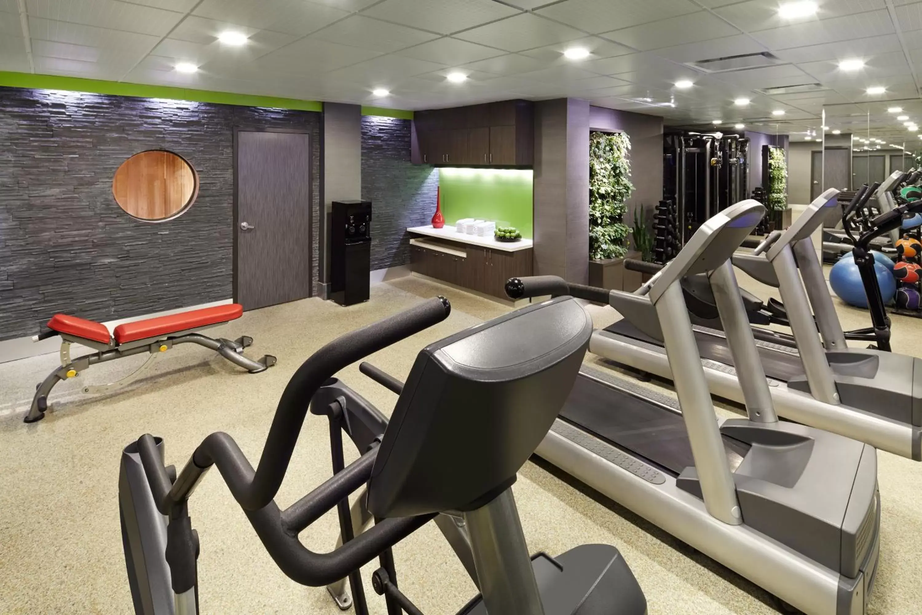 Fitness centre/facilities, Fitness Center/Facilities in Sofitel Montreal Golden Mile