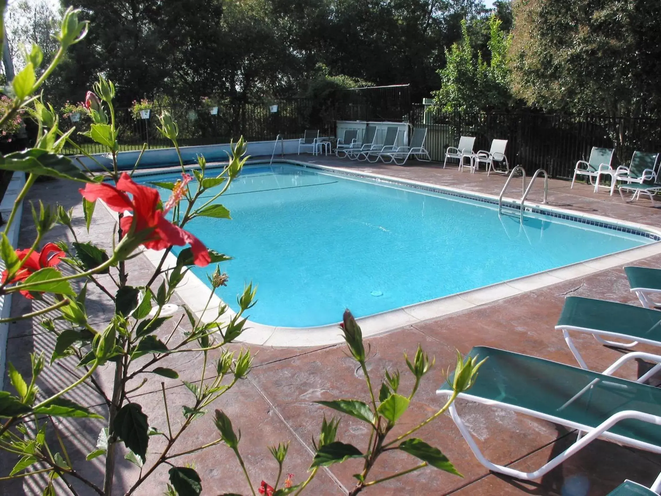 Swimming Pool in Carmel River Inn