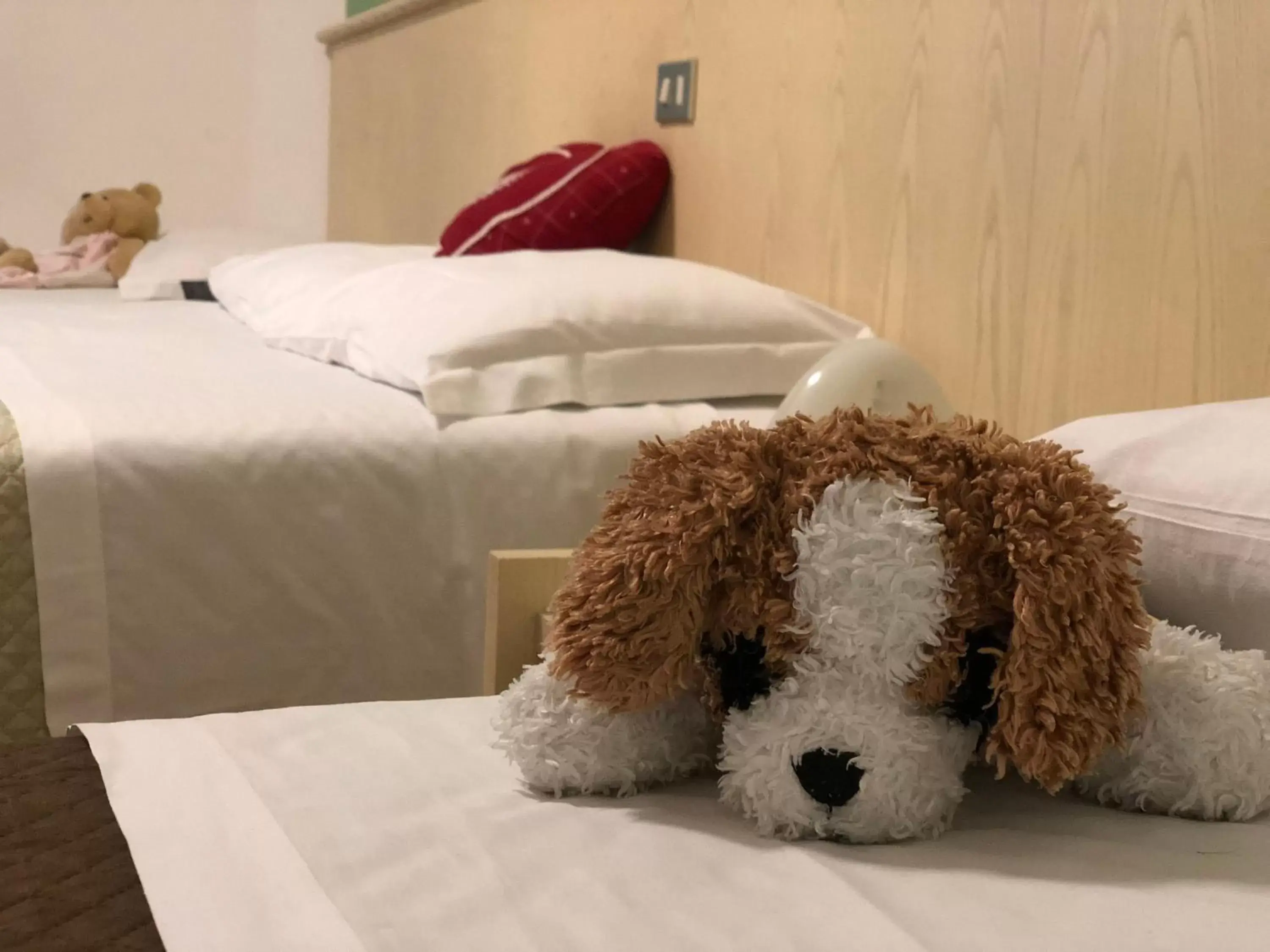 Pets, Bed in Hotel Kristall