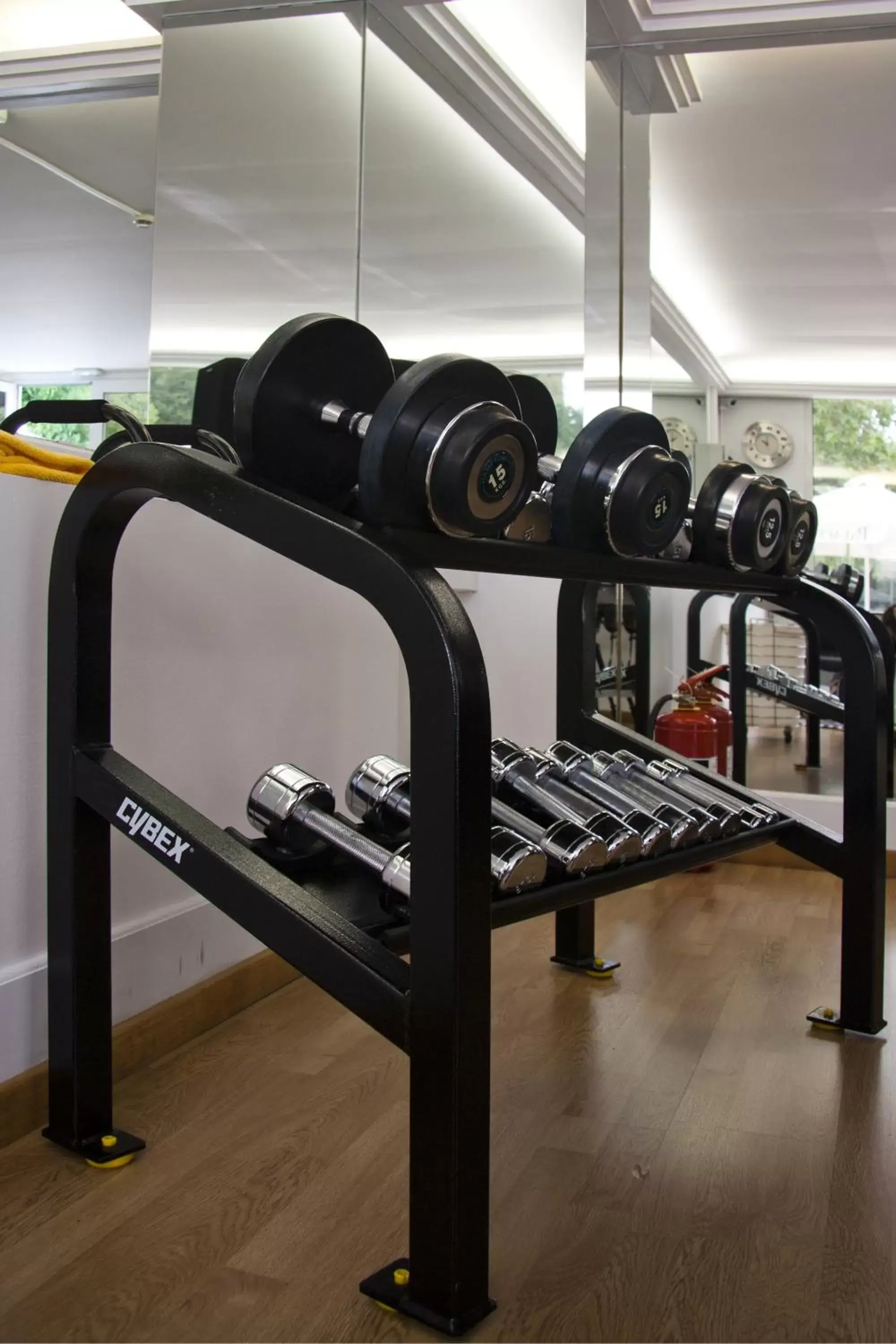 Fitness centre/facilities, Fitness Center/Facilities in Theoxenia Palace