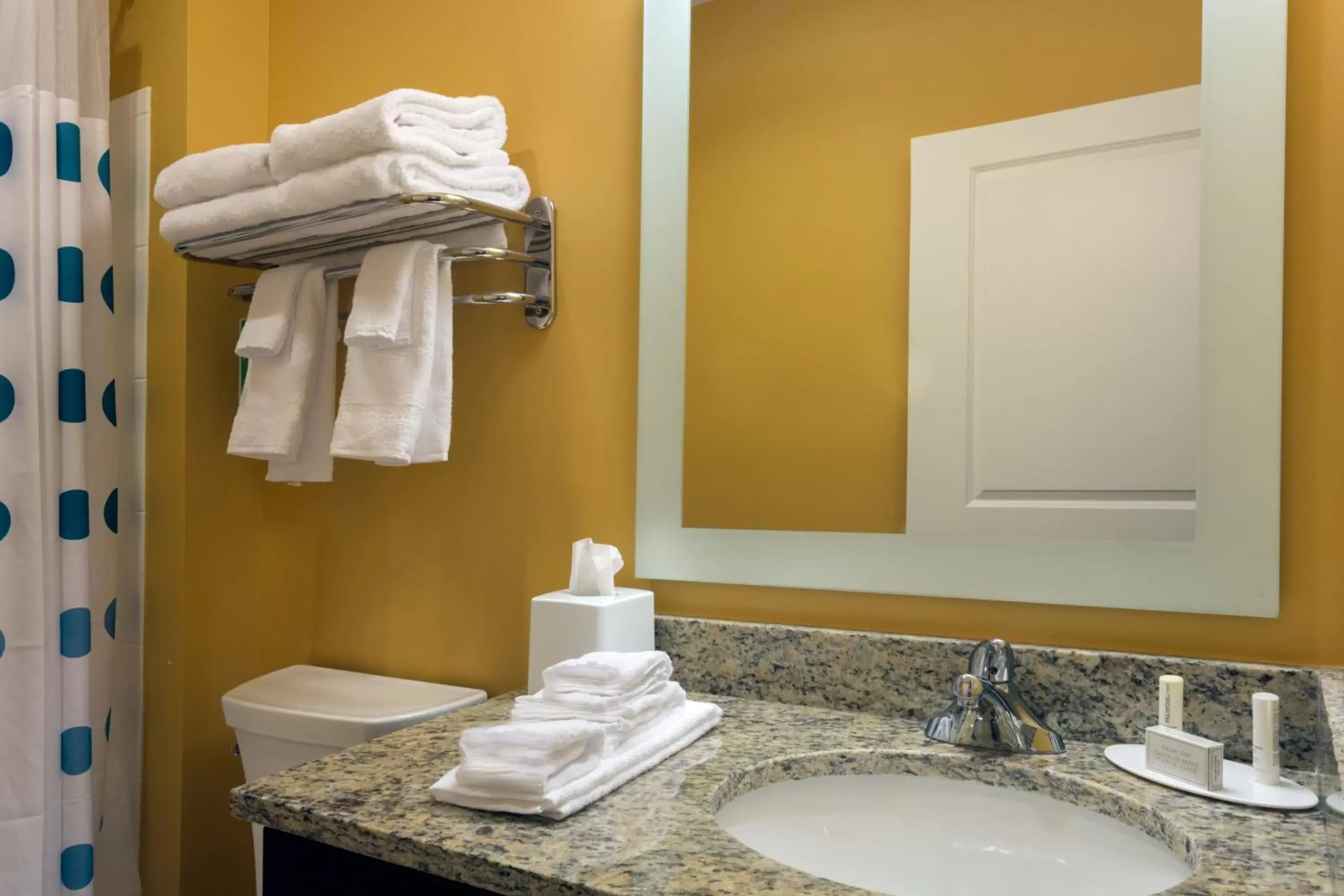 Bathroom in TownePlace Suites by Marriott Gainesville Northwest