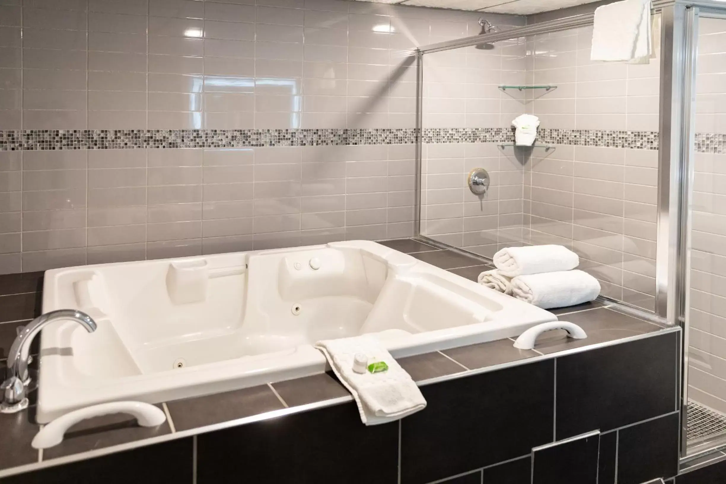 Bathroom in Sawridge Inn and Conference Centre Edmonton South