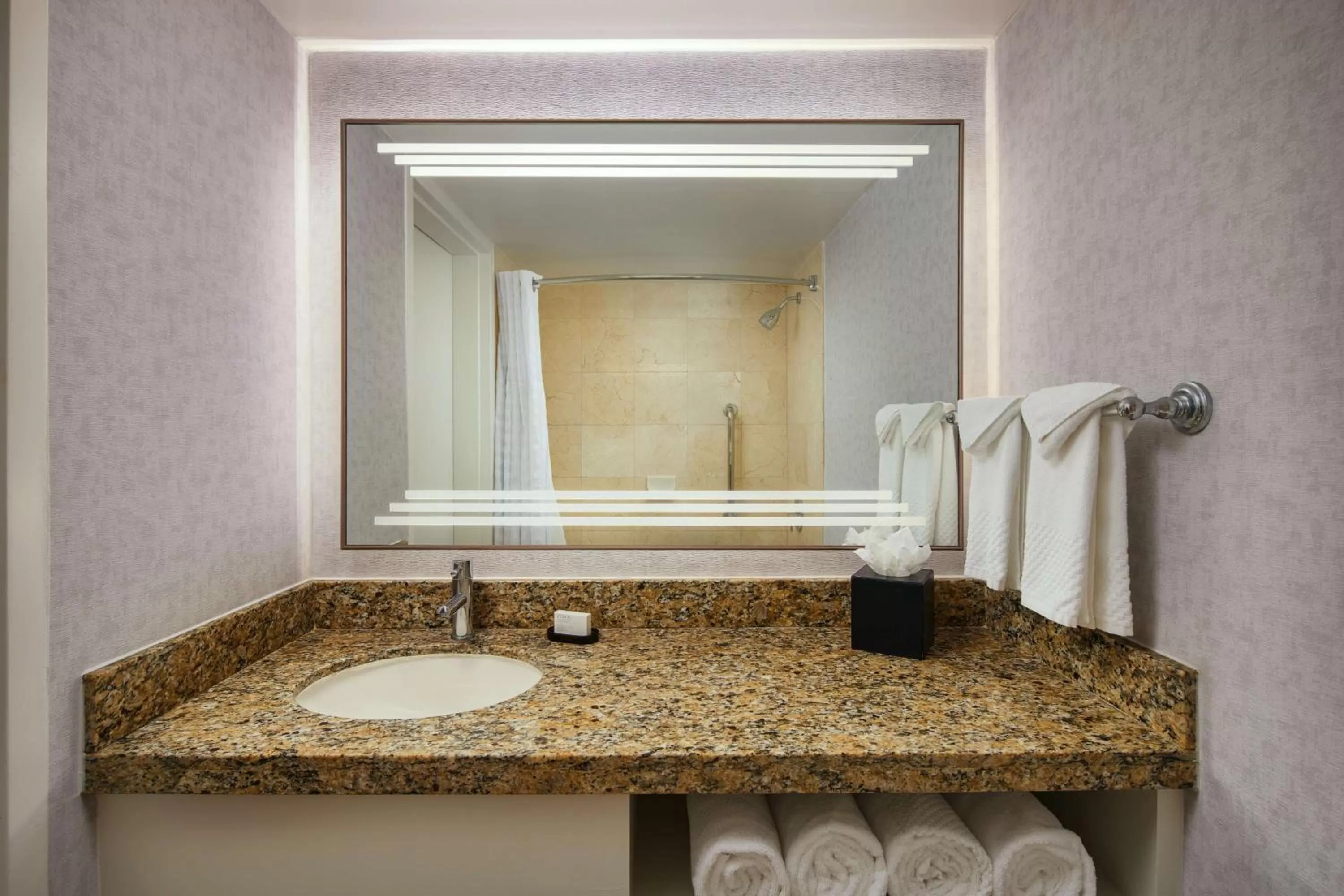 Bathroom in Embassy Suites by Hilton West Palm Beach Central