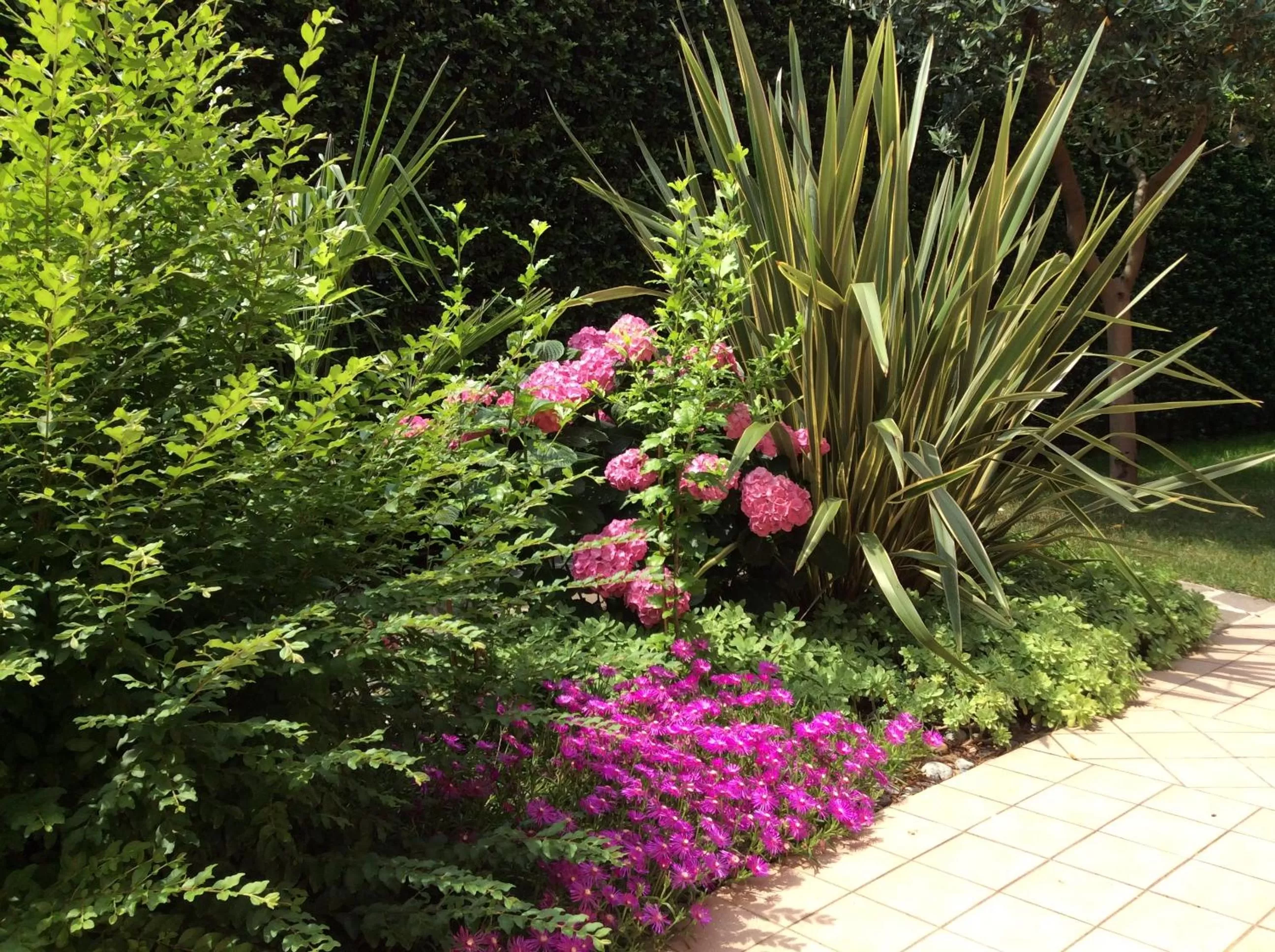 Spring in B&B Desenzano Paradise