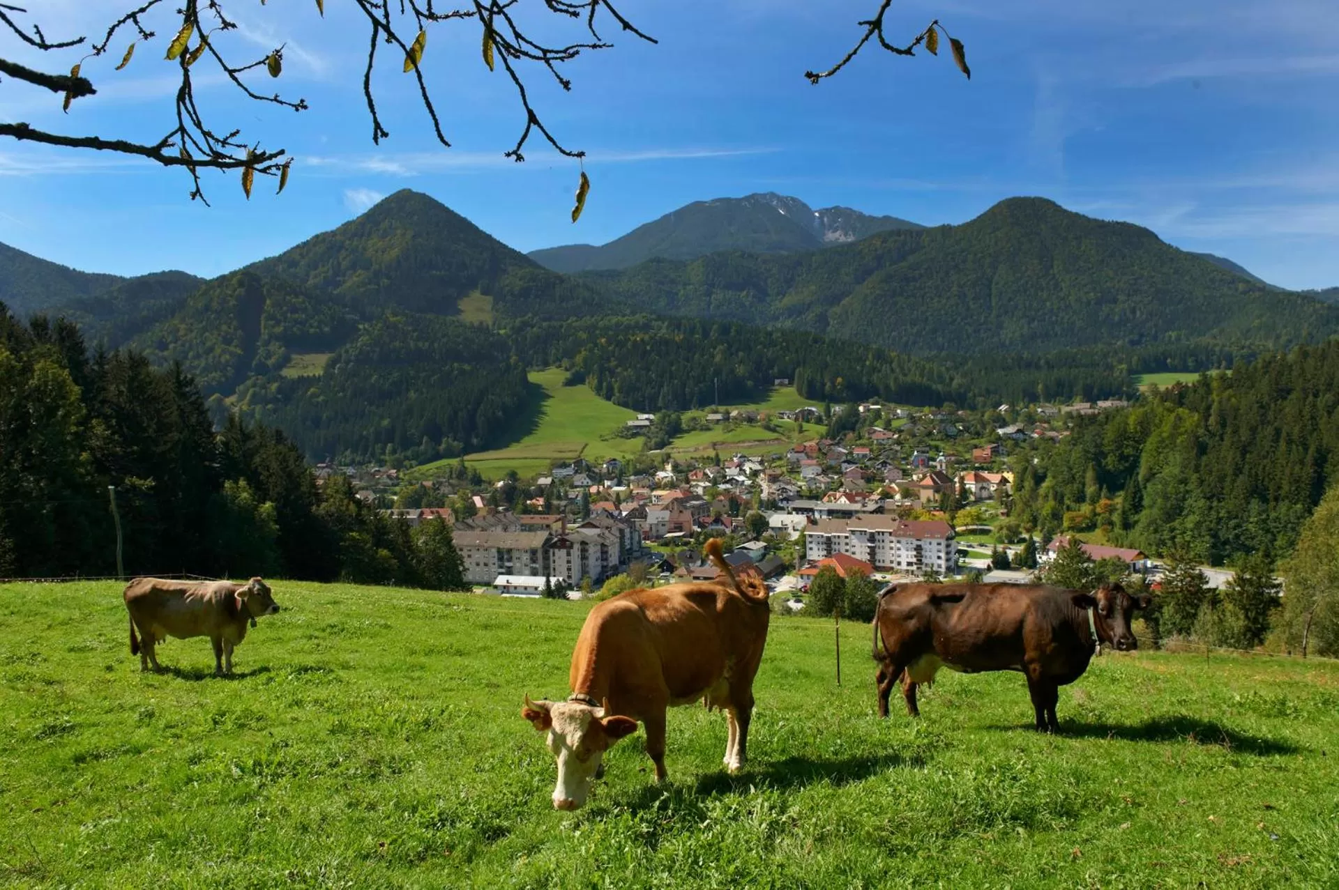 BikeSki family hotel, b&b, apartaments, rooms