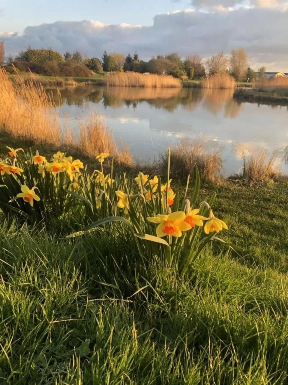 Garden in Grange Farm Park