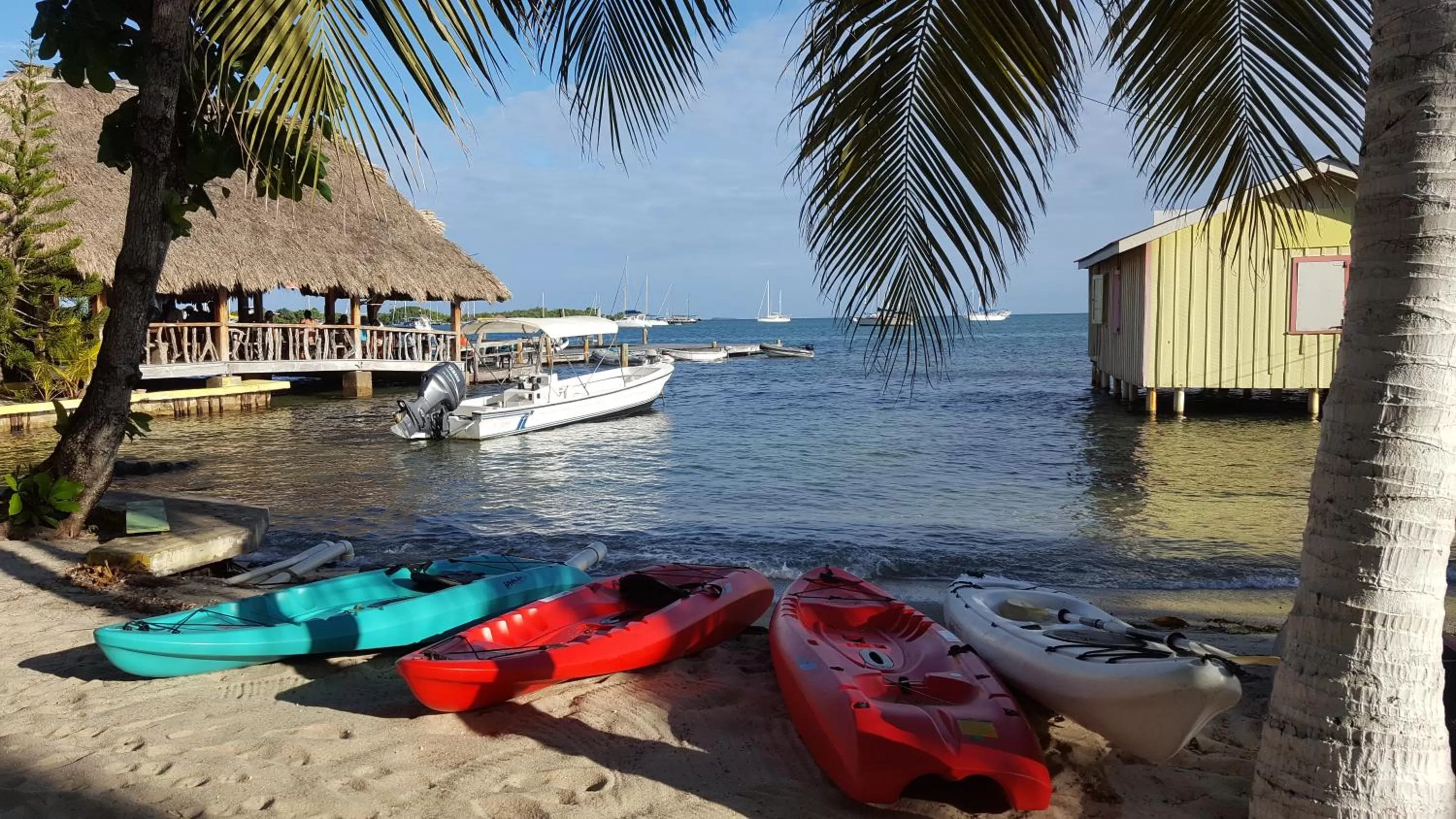 View (from property/room) in Alan's Paradise Hotel