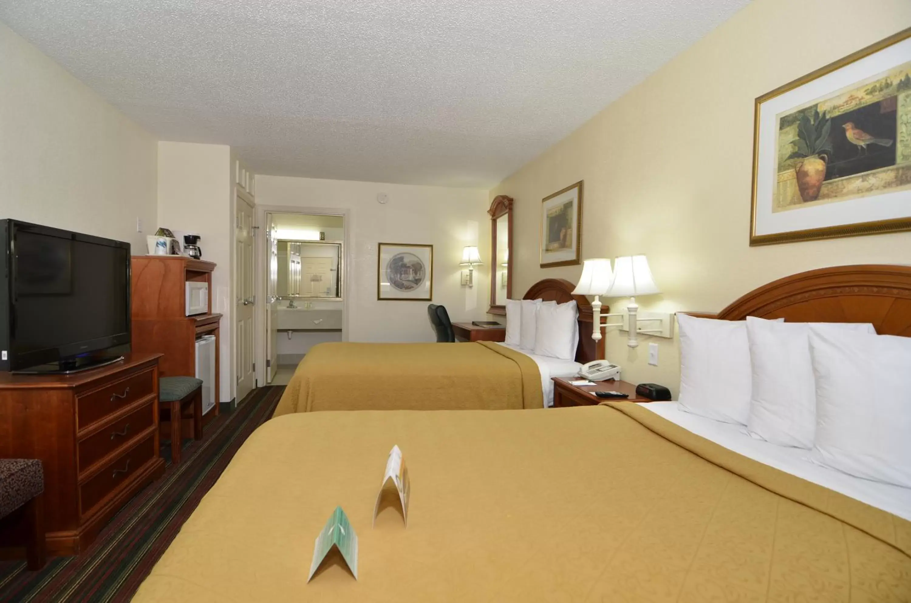 Photo of the whole room in Quality Inn & Suites Biltmore East Photo of the whole room in Quality Inn & Suites Biltmore East