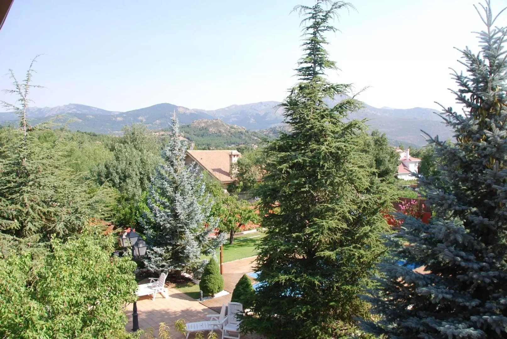 Natural landscape in B&B Concha