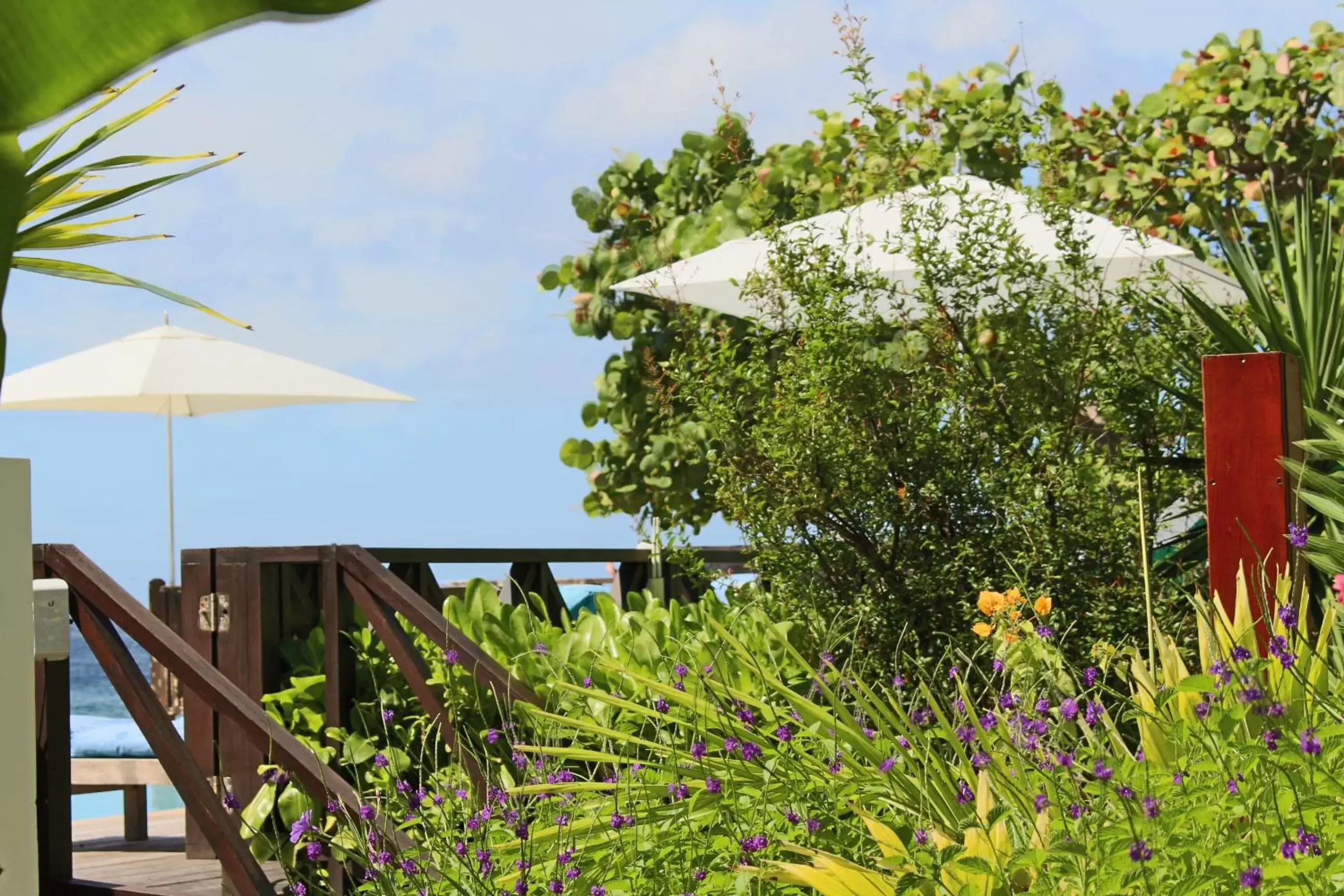 Garden in Scuba Lodge & Suites