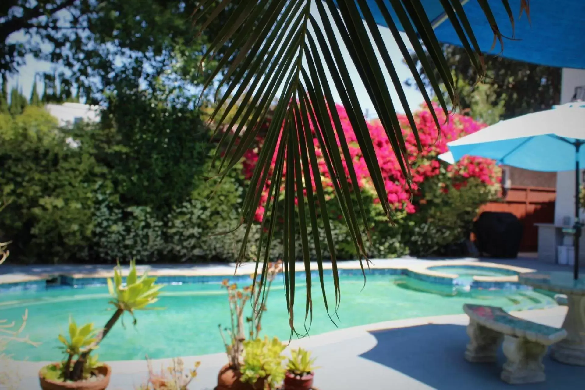 Pool view, Swimming Pool in Sweet Dreams B&B LA