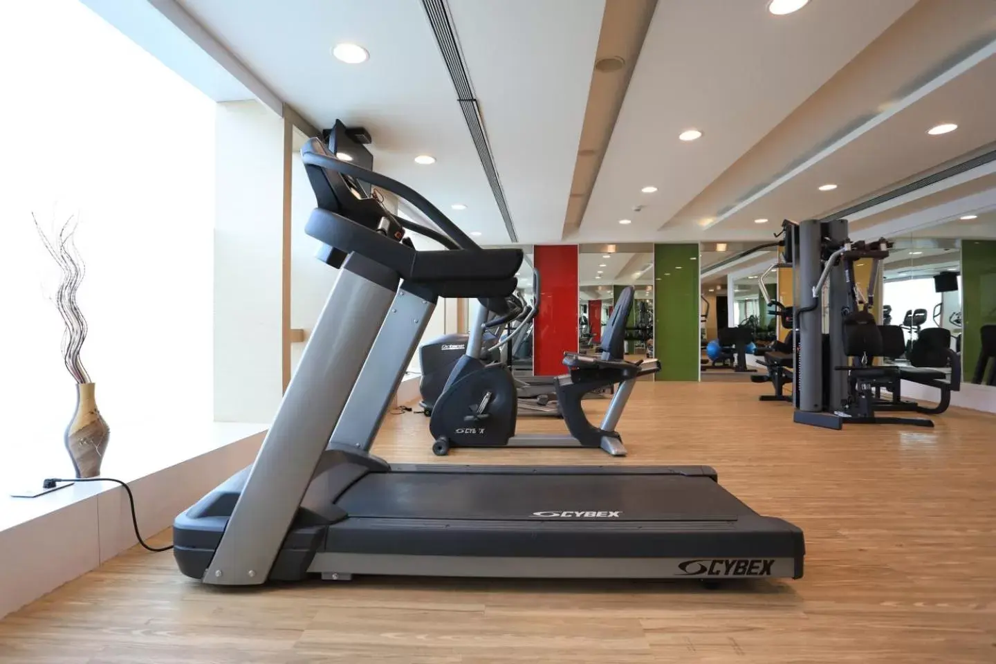 Fitness centre/facilities in Radisson Udaipur Fitness centre/facilities in Radisson Udaipur