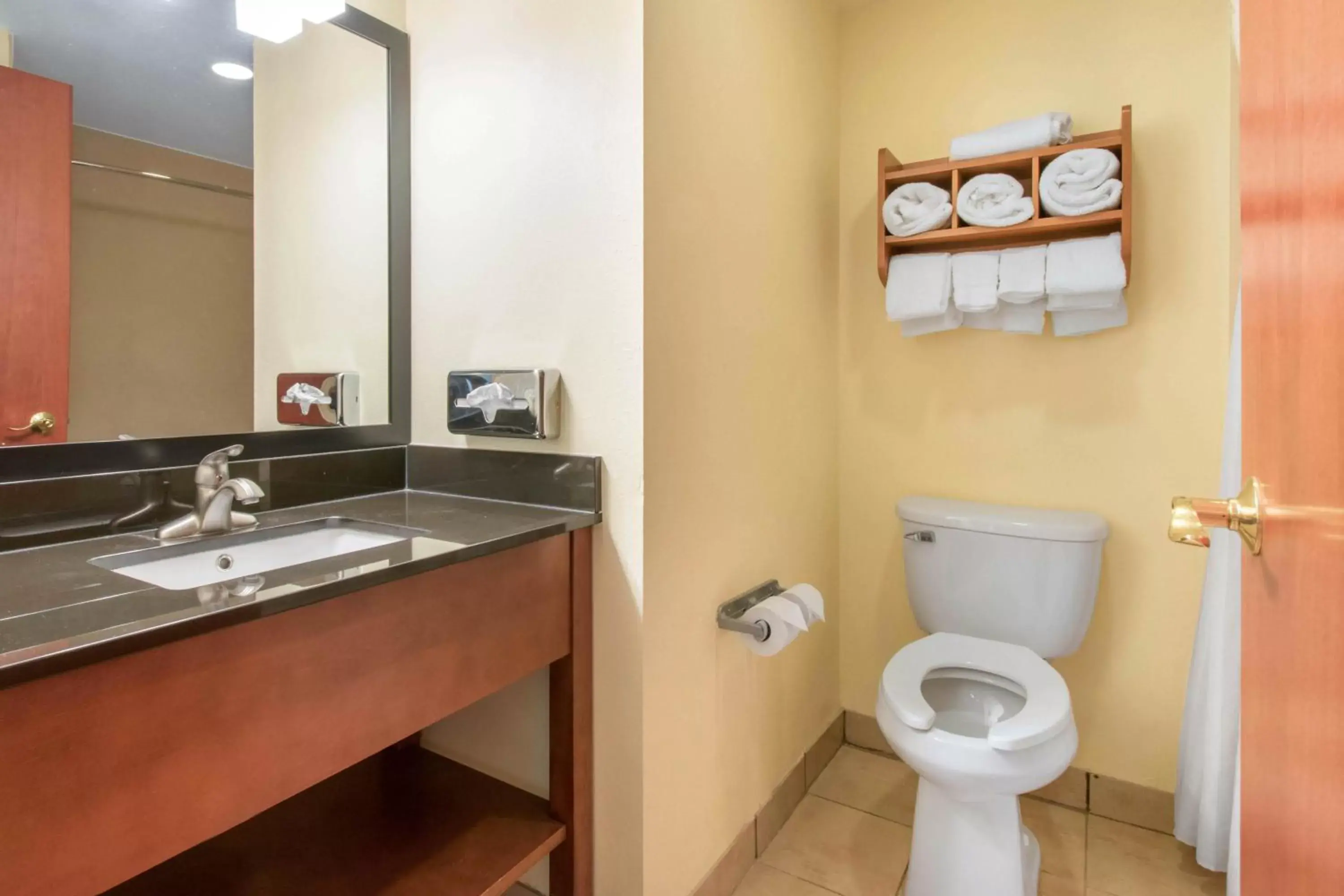 Bathroom in Clarion Hotel & Suites University-Shippensburg