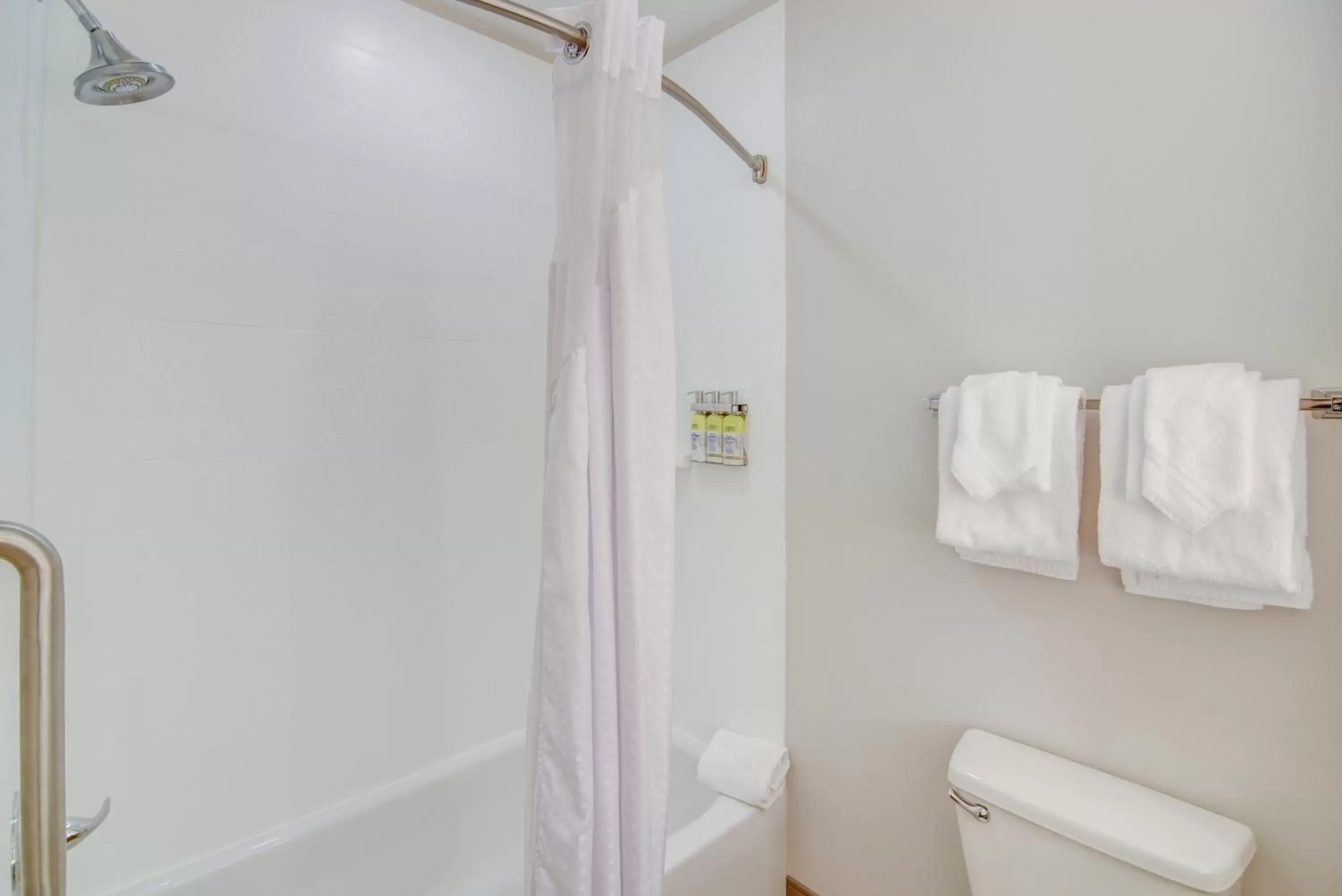 Bathroom in Holiday Inn Express Hotel & Suites Foley, an IHG Hotel