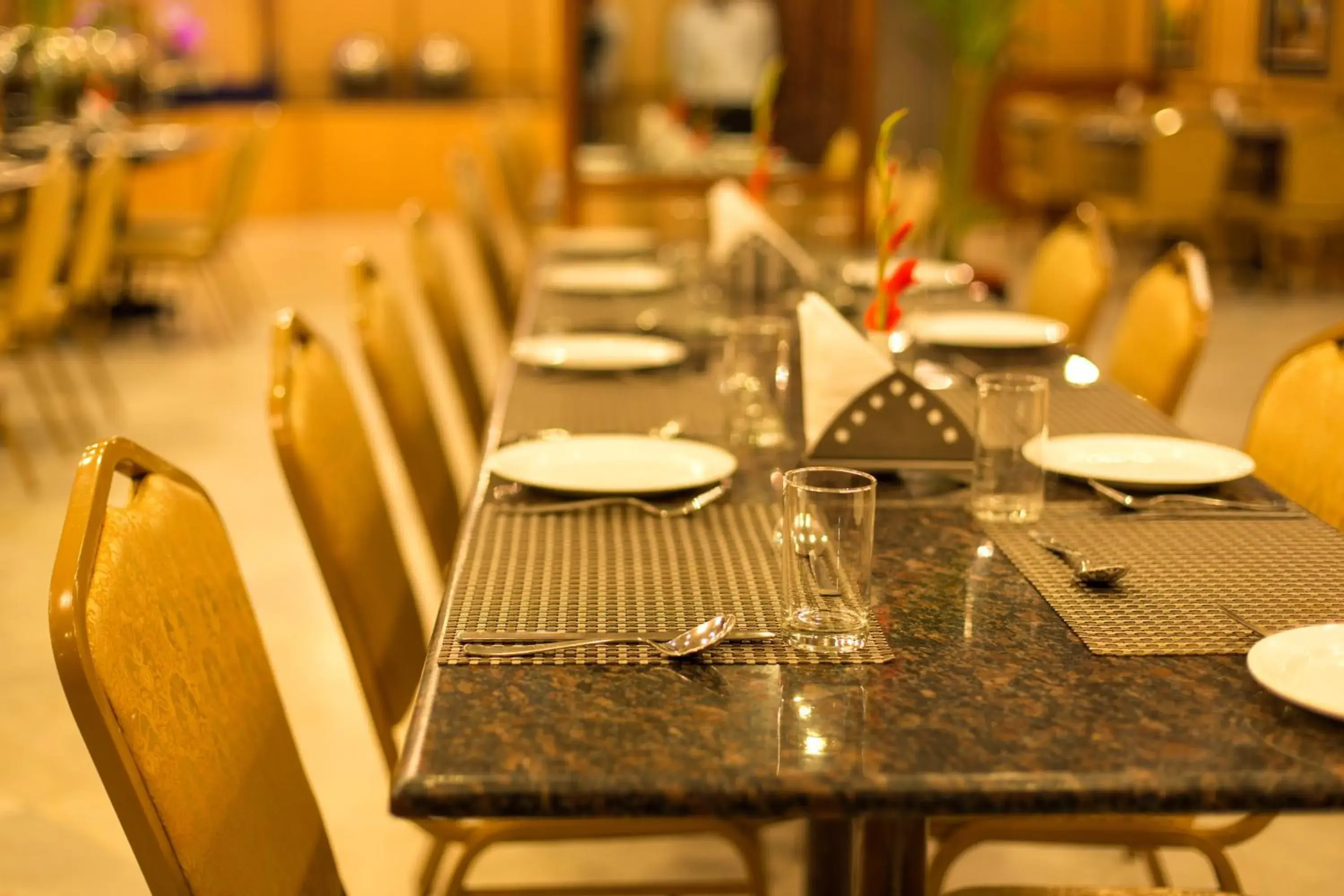 Restaurant/Places to Eat in Vesta Maurya Palace