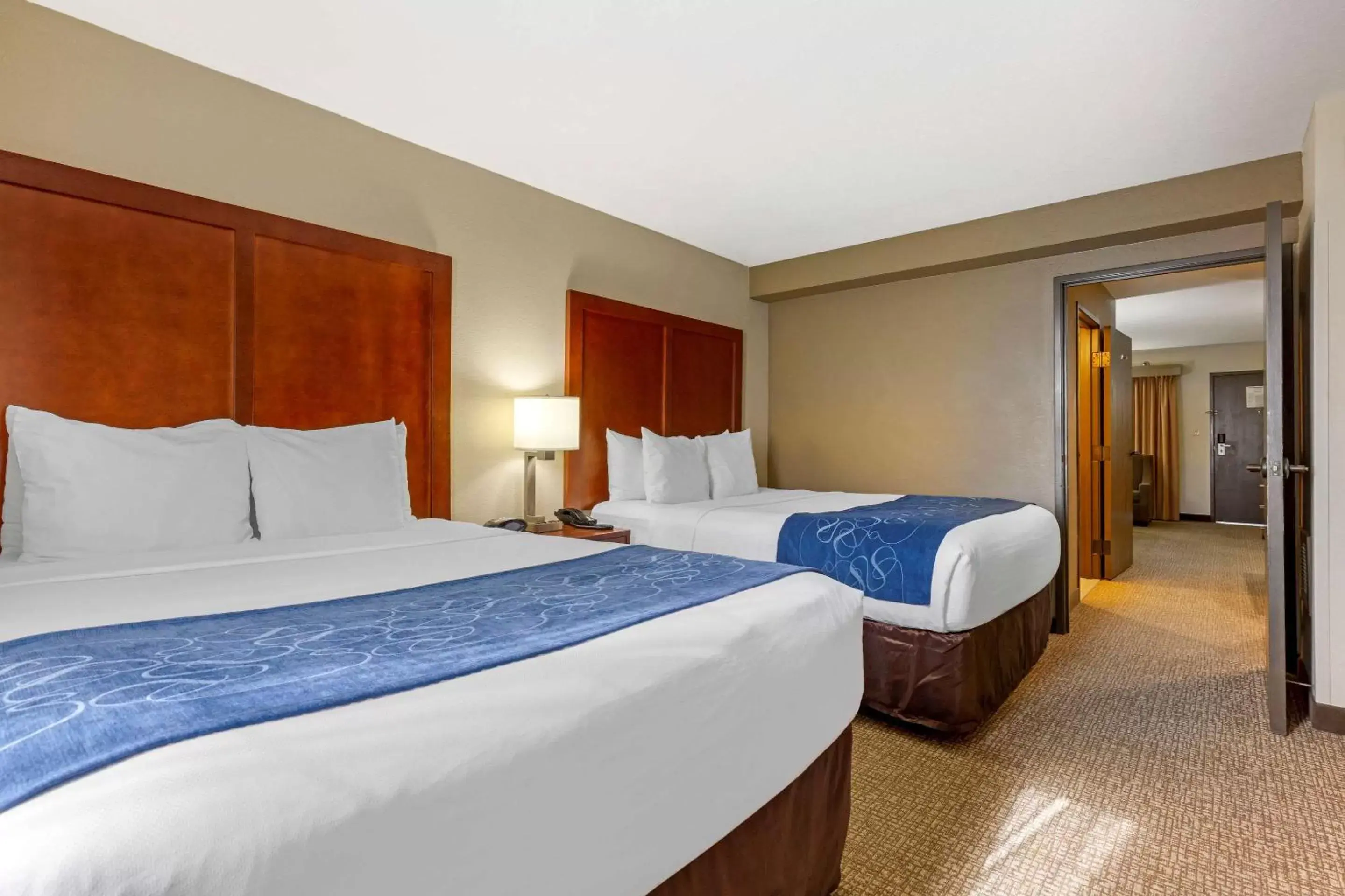 Photo of the whole room, Bed in Comfort Suites Fredericksburg South Photo of the whole room, Bed in Comfort Suites Fredericksburg South