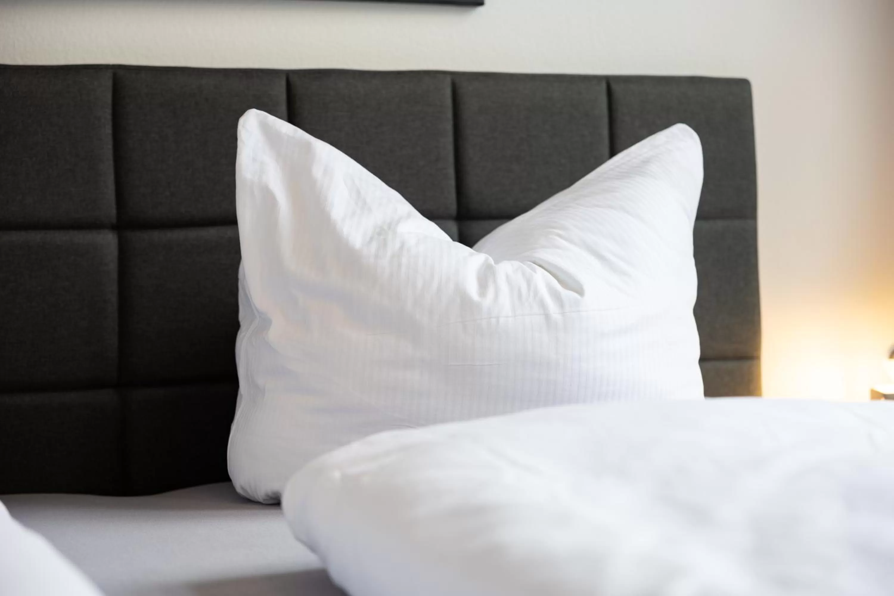 Bed in Apartments an der Oper - Innenstadt - Zentral - Küche - Wifi - Powered by Ko-Living