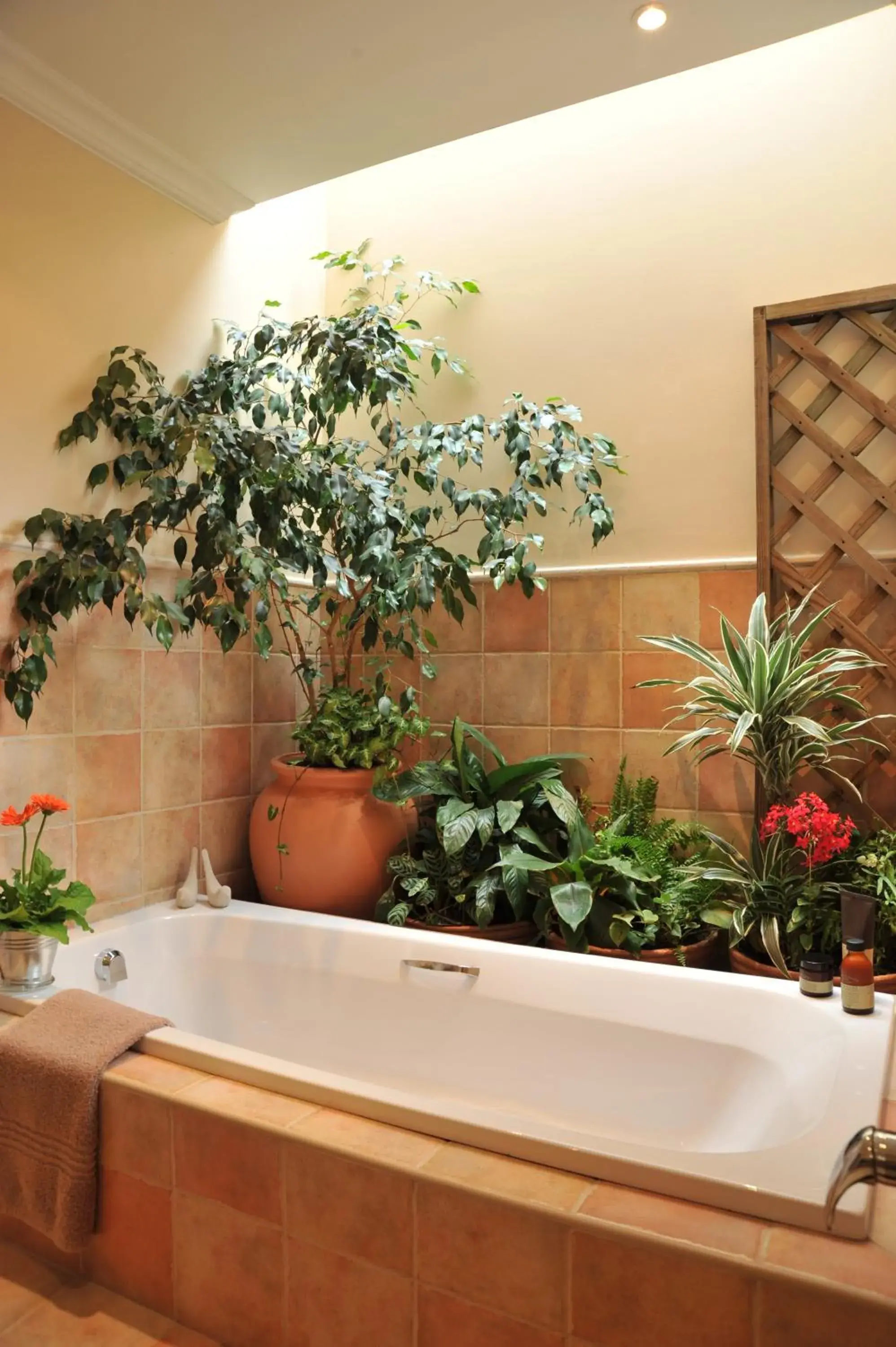 Bathroom, Lobby/Reception in Claires of Sandton Luxury Guest House