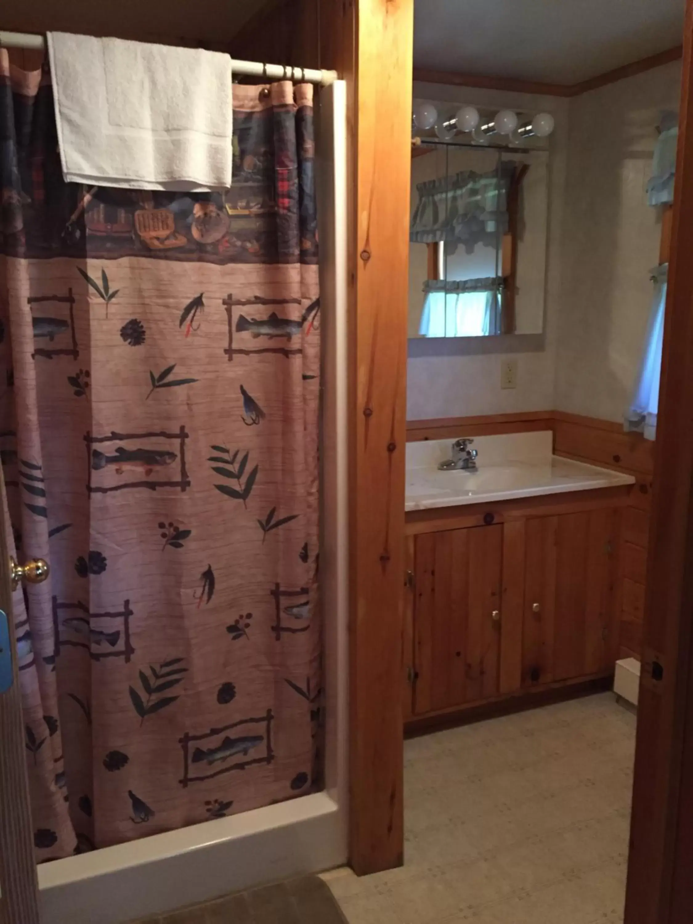 Bathroom in Rough Cut Lodge