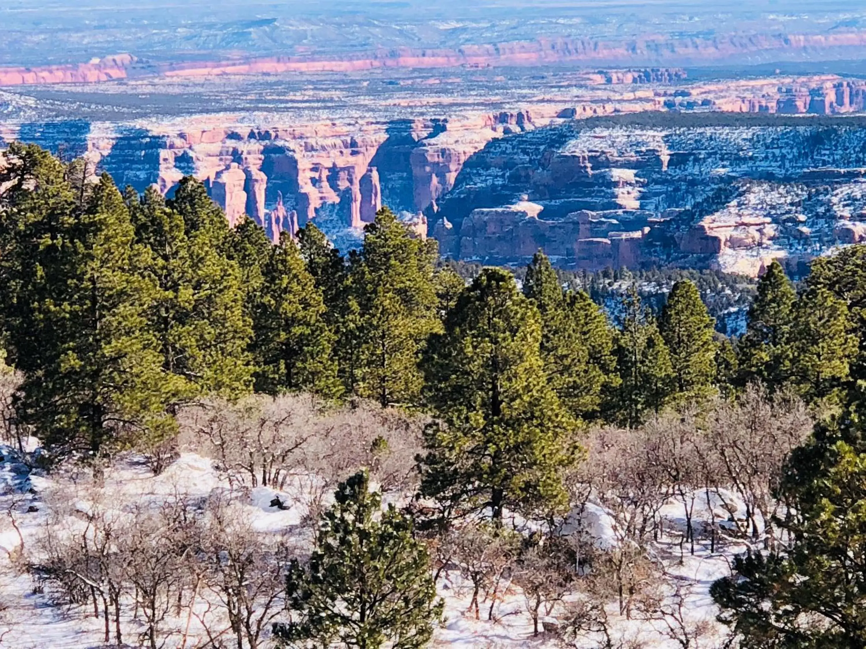 Cedar Canyon Condo #4 in Cedar Canyon Condos Cedar Canyon Condo #4 in Cedar Canyon Condos