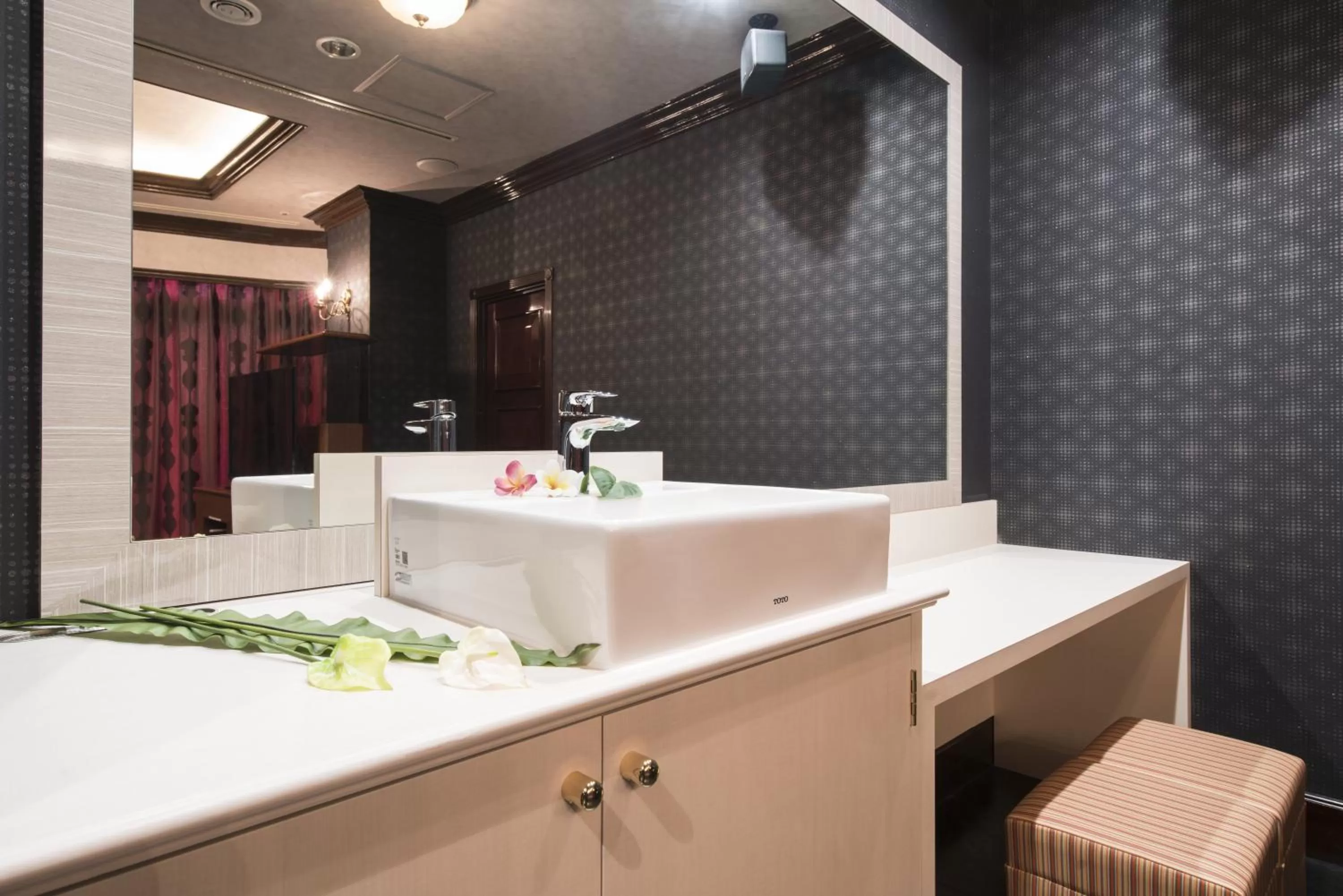 Area and facilities in Hotel Alps