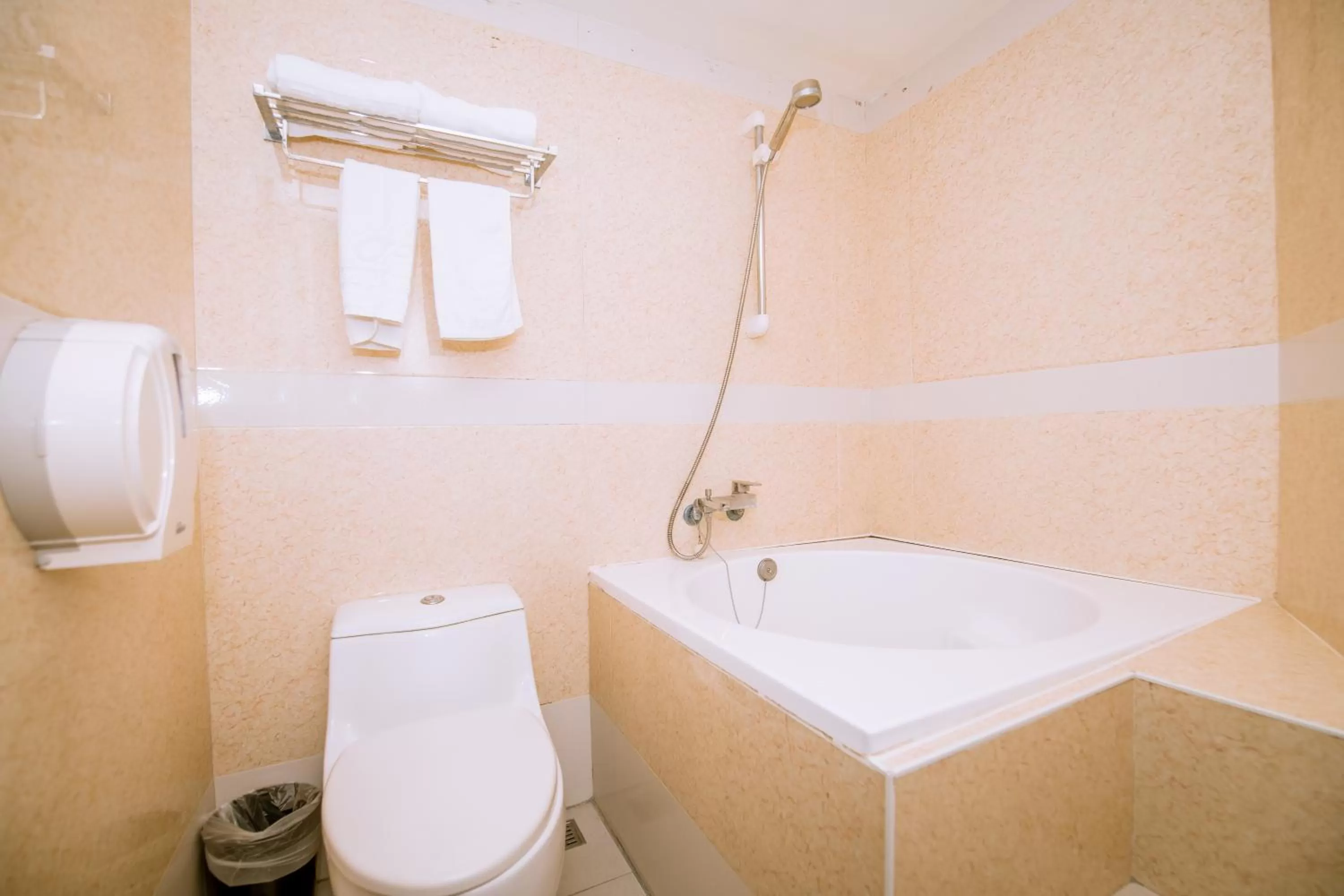 Shower in Guide Hotel Taipei Xinyi